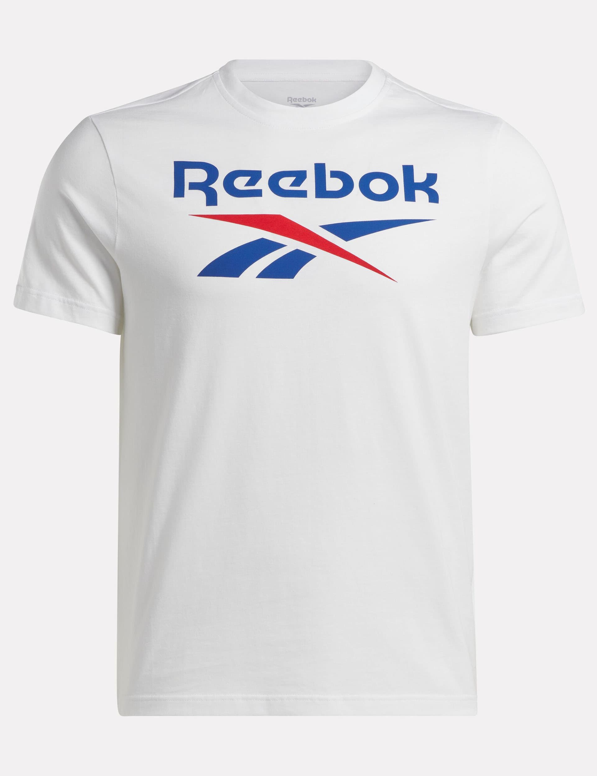 Reebok Men's Identity Big Logo Pure Cotton T-Shirt - White, White,Burgundy Mix,Teal Mix