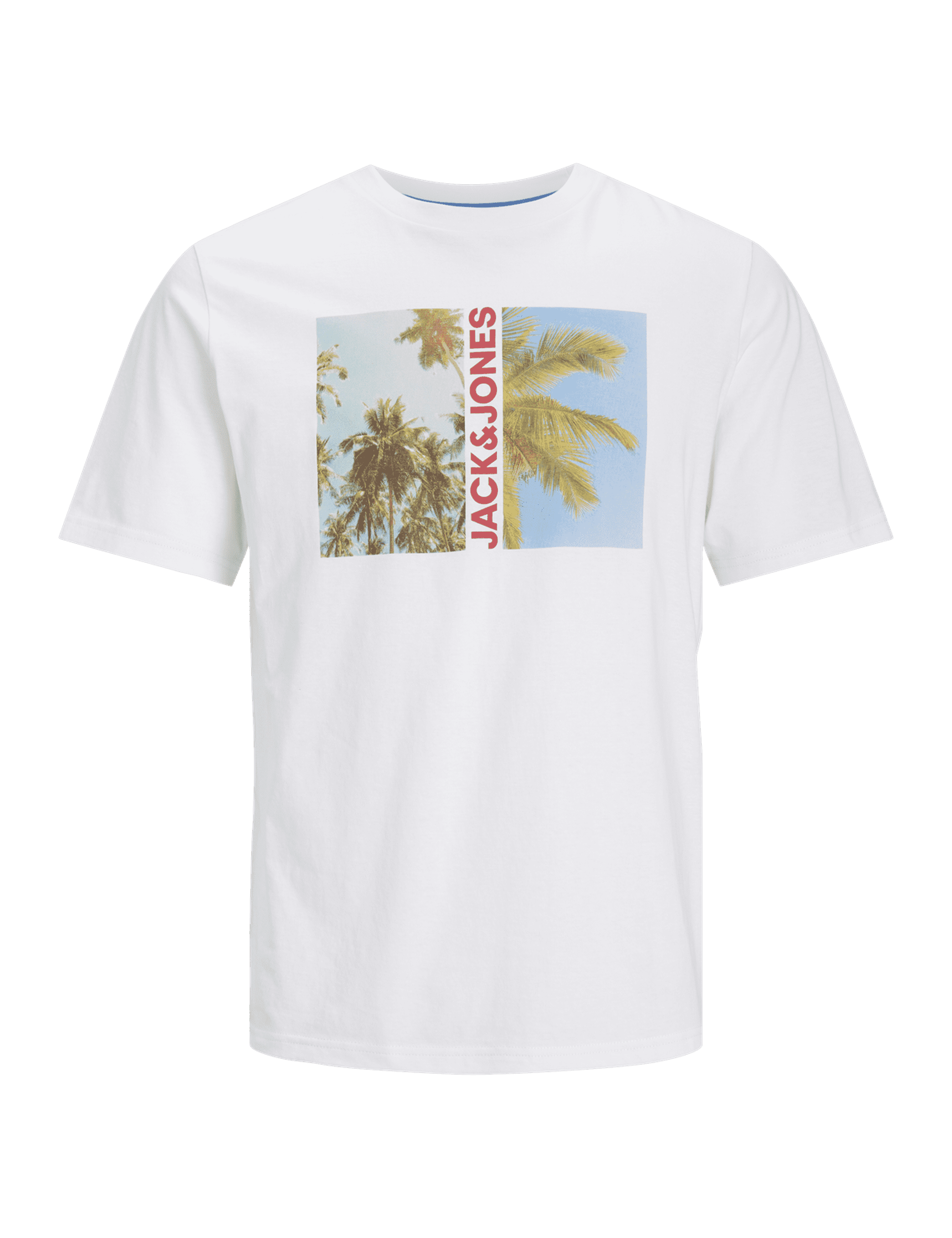 Jack & Jones Junior Boys Pure Cotton Graphic T-Shirt (8-16 Yrs)