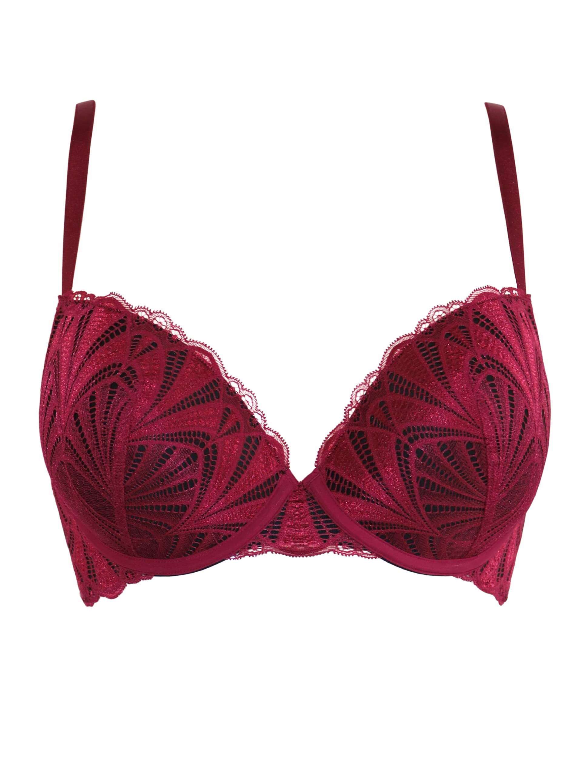 Pour Moi Women's New Romance Lace Wired Push-Up Bra (A-DD) - 34DD - Red Mix, Green Mix,Red Mix,Beige