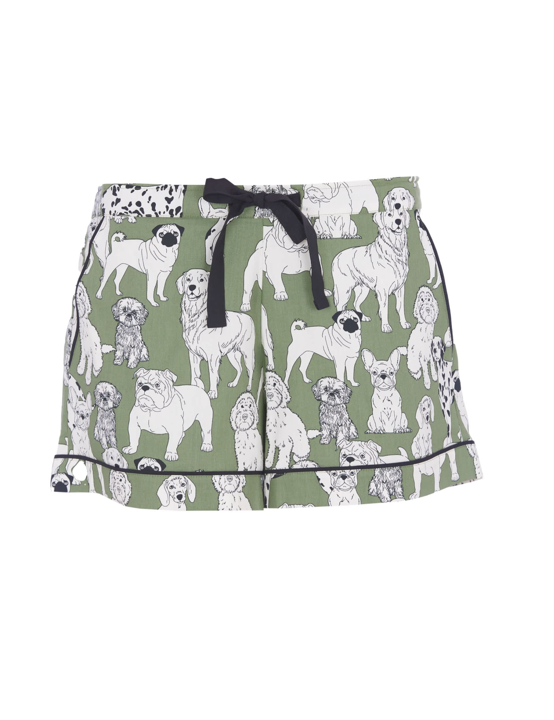 Cyberjammies Women's Cotton Modal Dog Print Pyjama Shorts - 16 - Green Mix, Green Mix