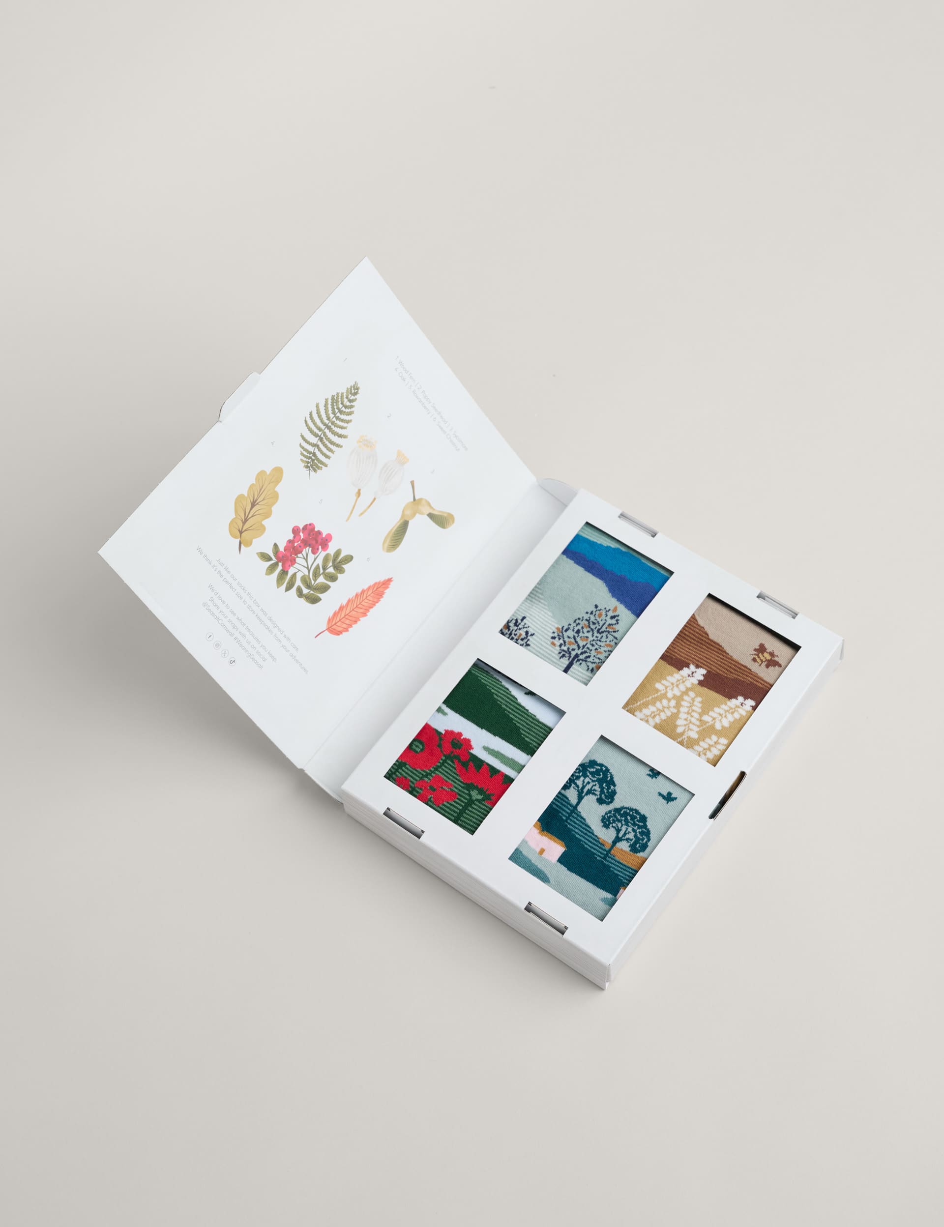 Seasalt Cornwall Women's 4pk Cotton Rich Ankle High Socks