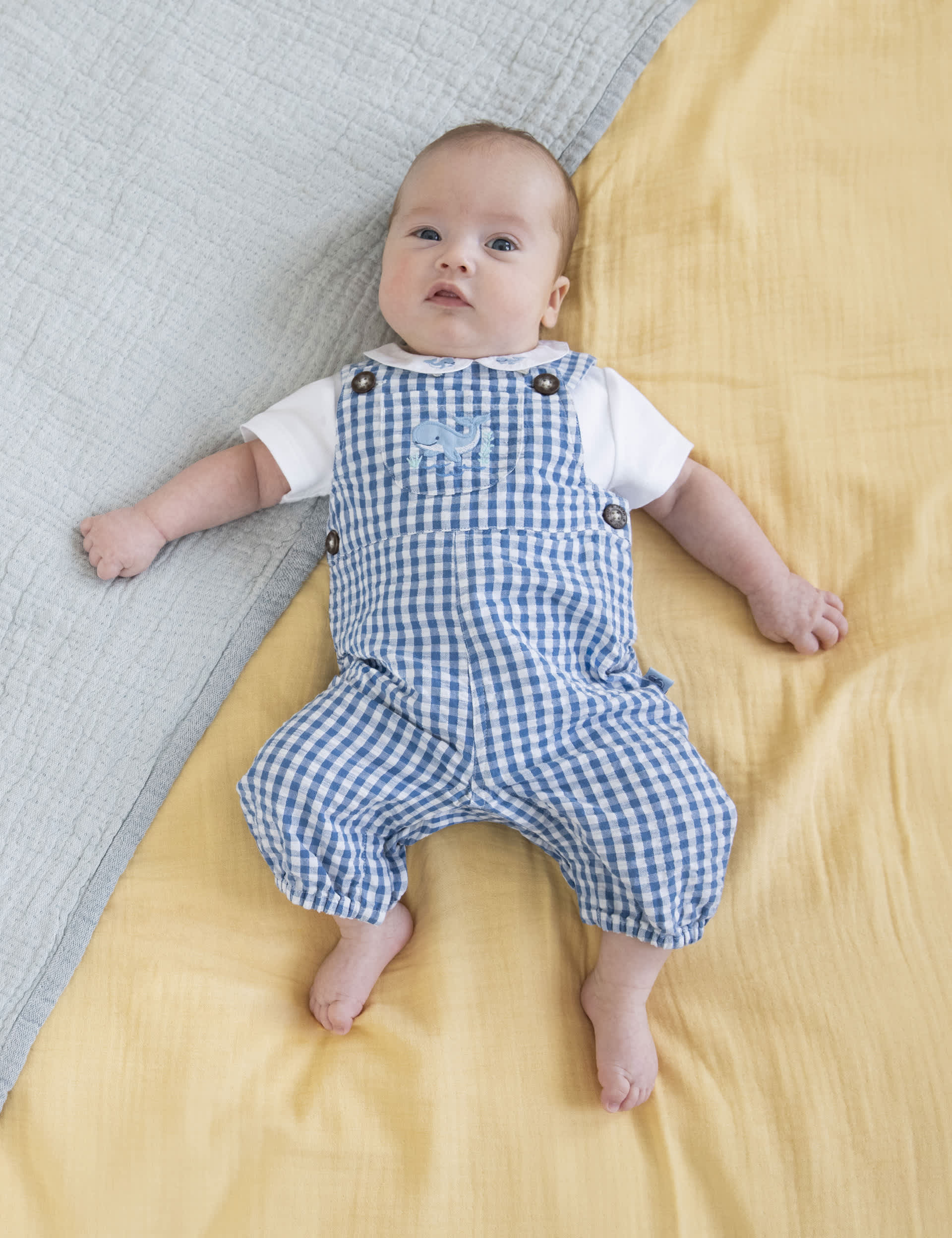 Jojo Maman Bb Boys 2pc Pure Cotton Gingham Outfit (0-2 Yrs) - 12-18 - Navy Mix, Navy Mix