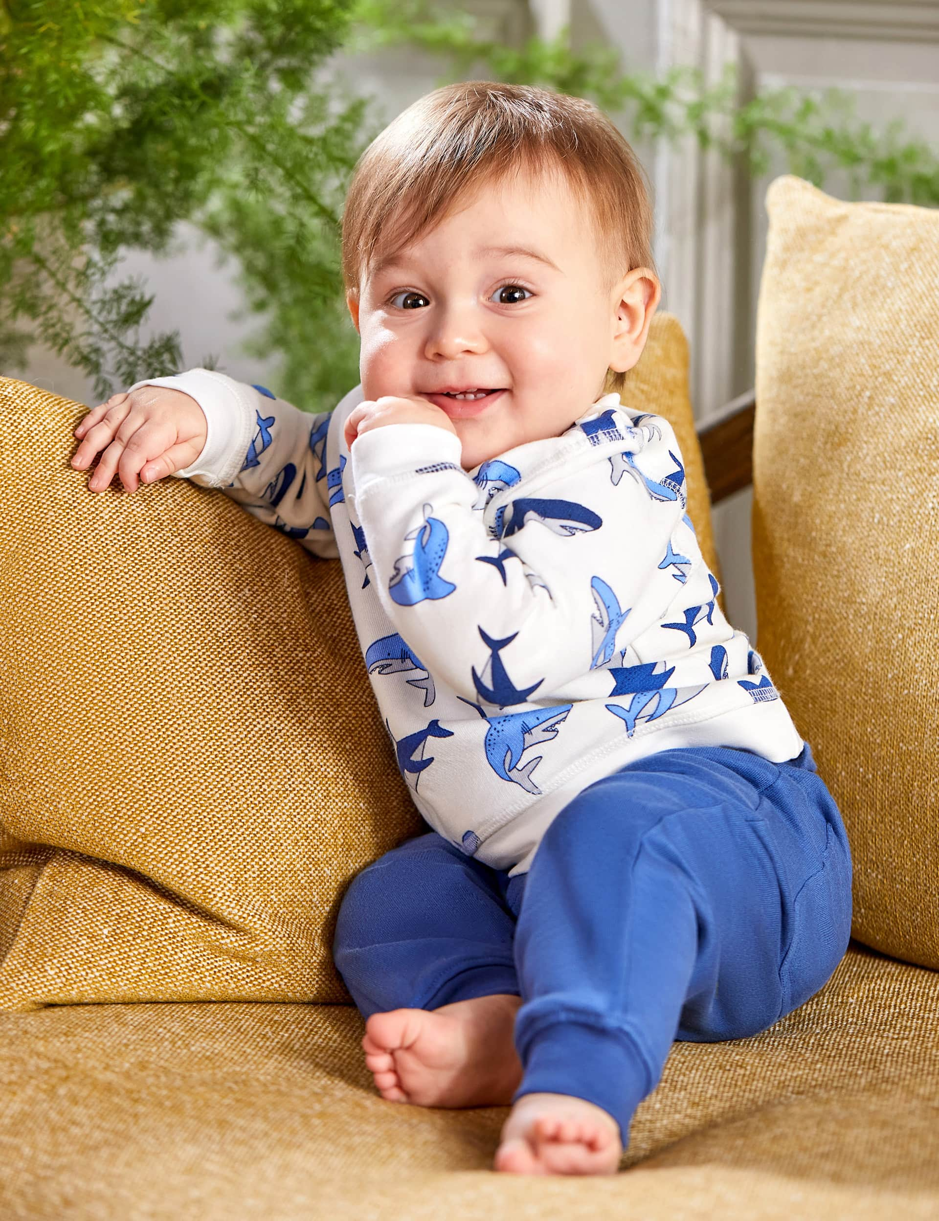 Jojo Maman Bb Boys 2pc Pure Cotton Shark Outfit (6 Mths-5 Yrs) - 4-5 Y - Ecru Mix, Ecru Mix