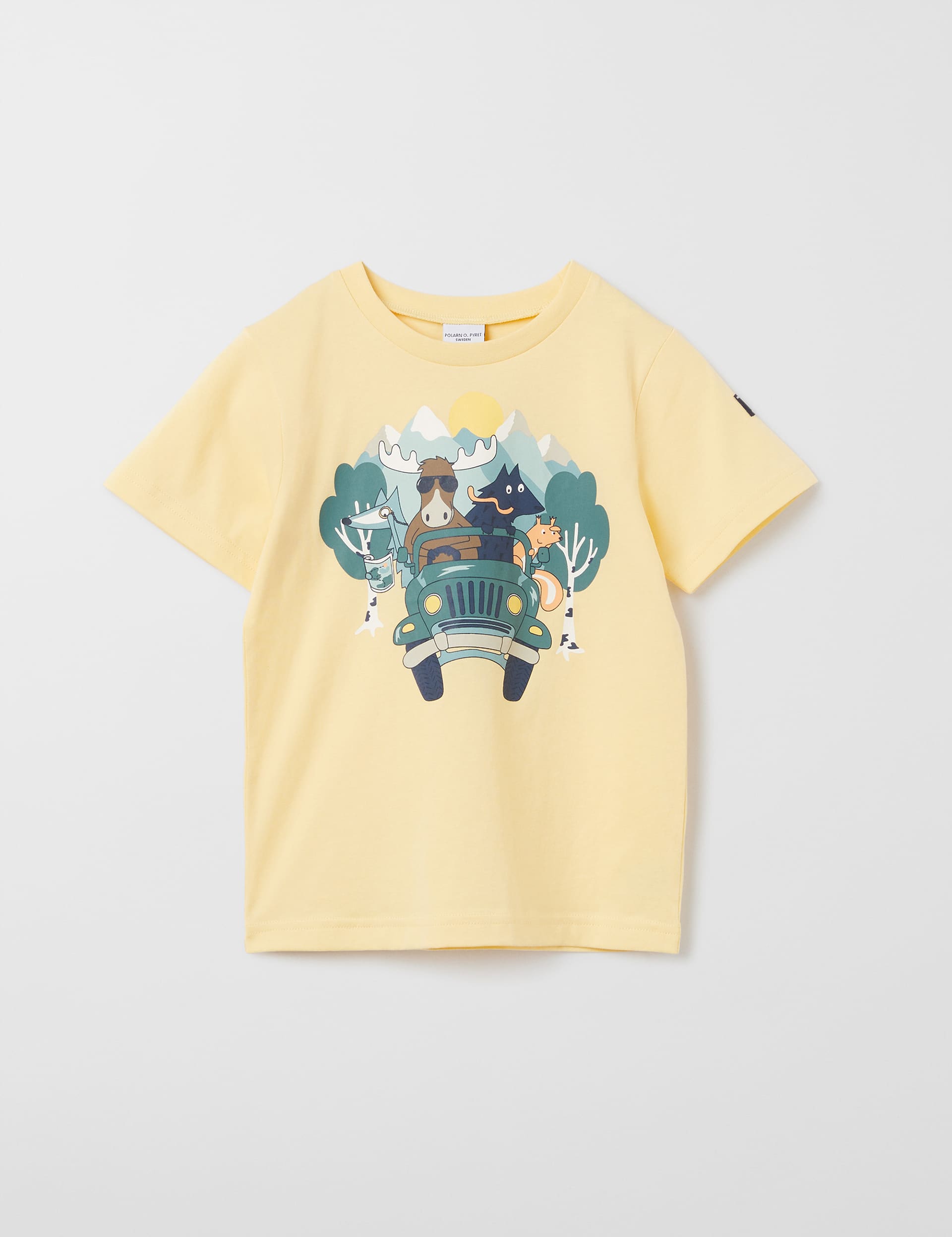 Polarn O. Pyret Boys Pure Cotton Printed T-Shirt (1-10 Yrs) - 12-18 - Yellow Mix, Yellow Mix