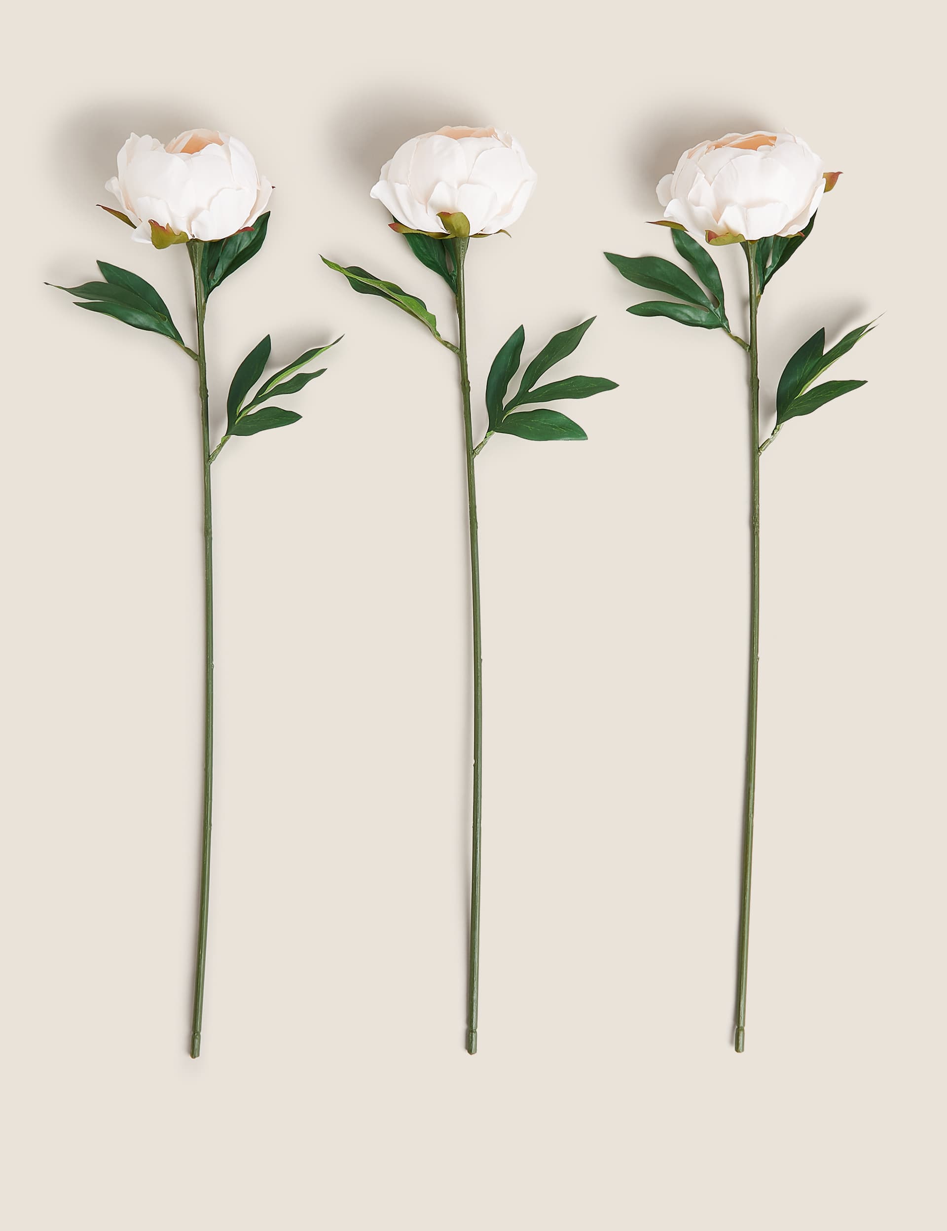 Moss & Sweetpea Set of 3 Artificial Closed Peonies - Cream, Cream