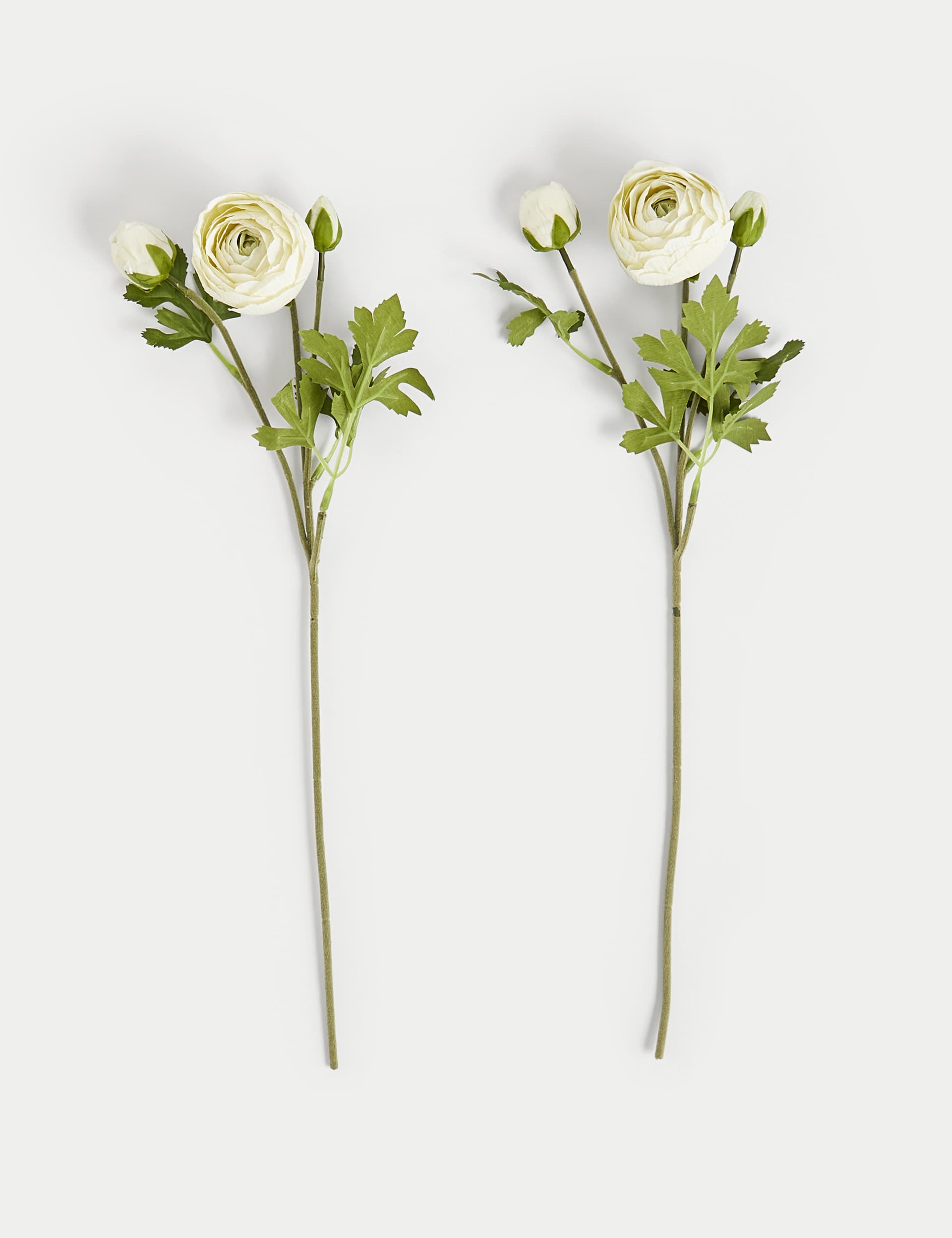 Moss & Sweetpea Set of 2 Artificial Real Touch Ranunculus Stems - White, White