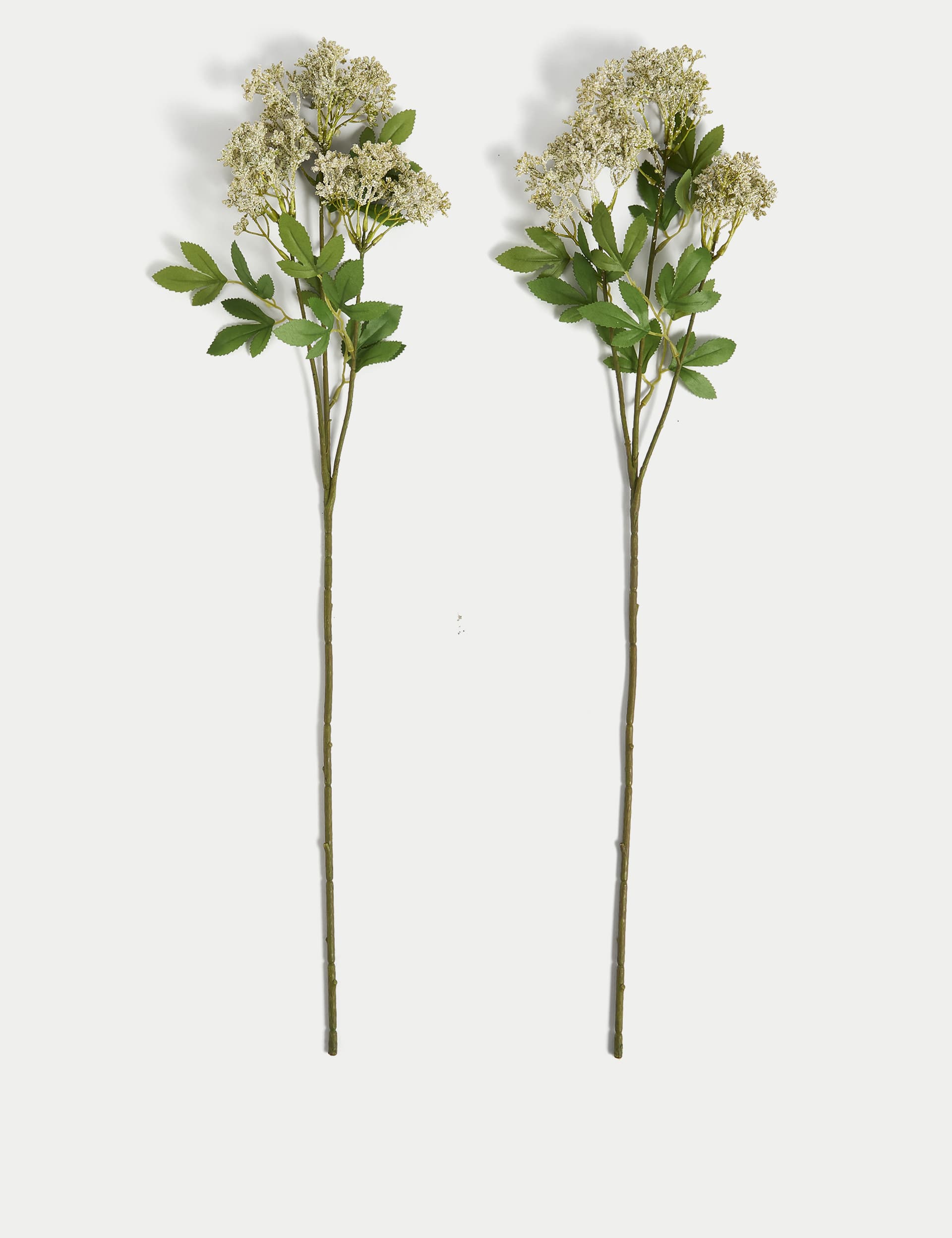 Moss & Sweetpea Set of 2 Artificial Cow Parsley Single Stems - Green, Green