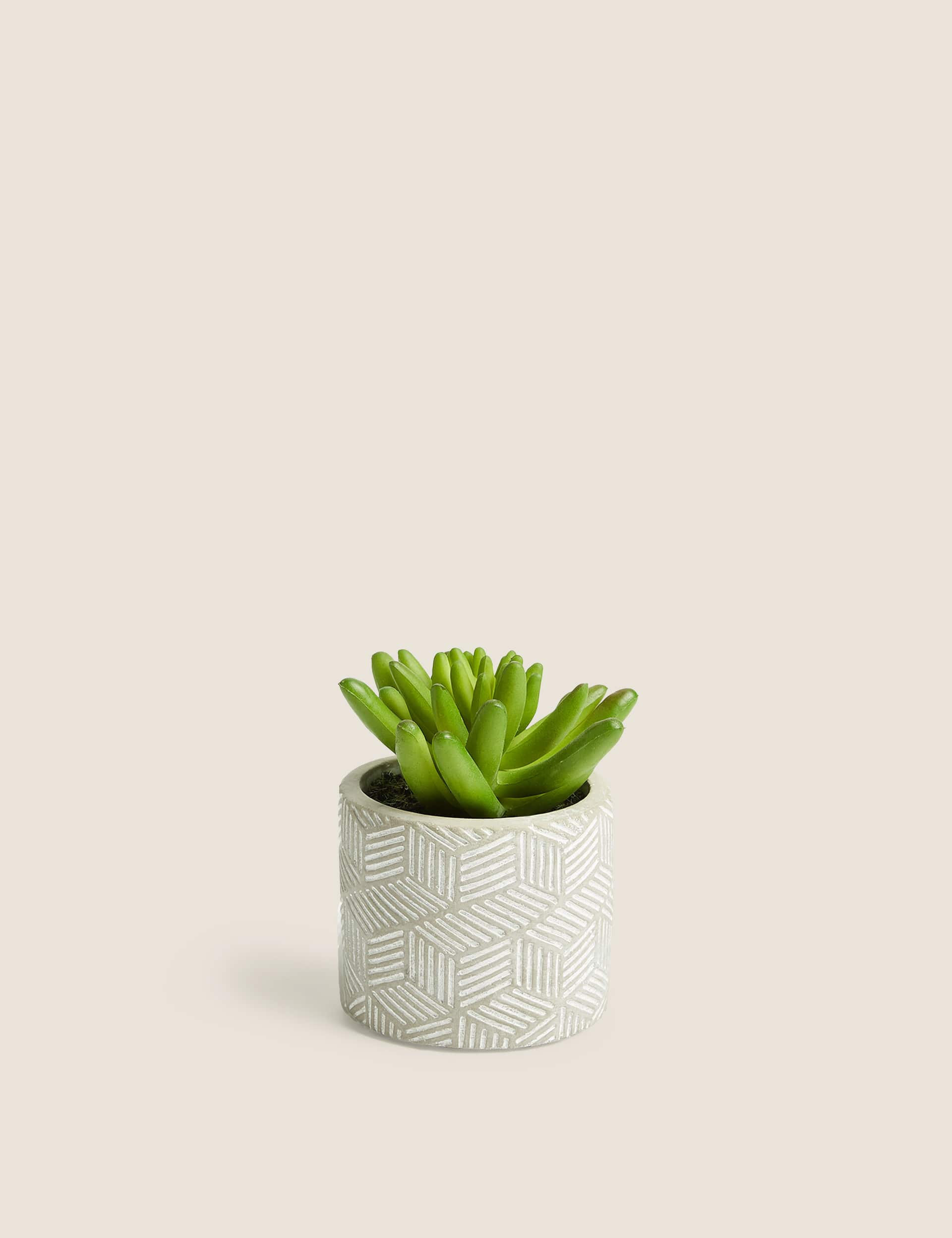 Moss & Sweetpea Artificial Mini Succulent in Concrete Pot - Green, Green