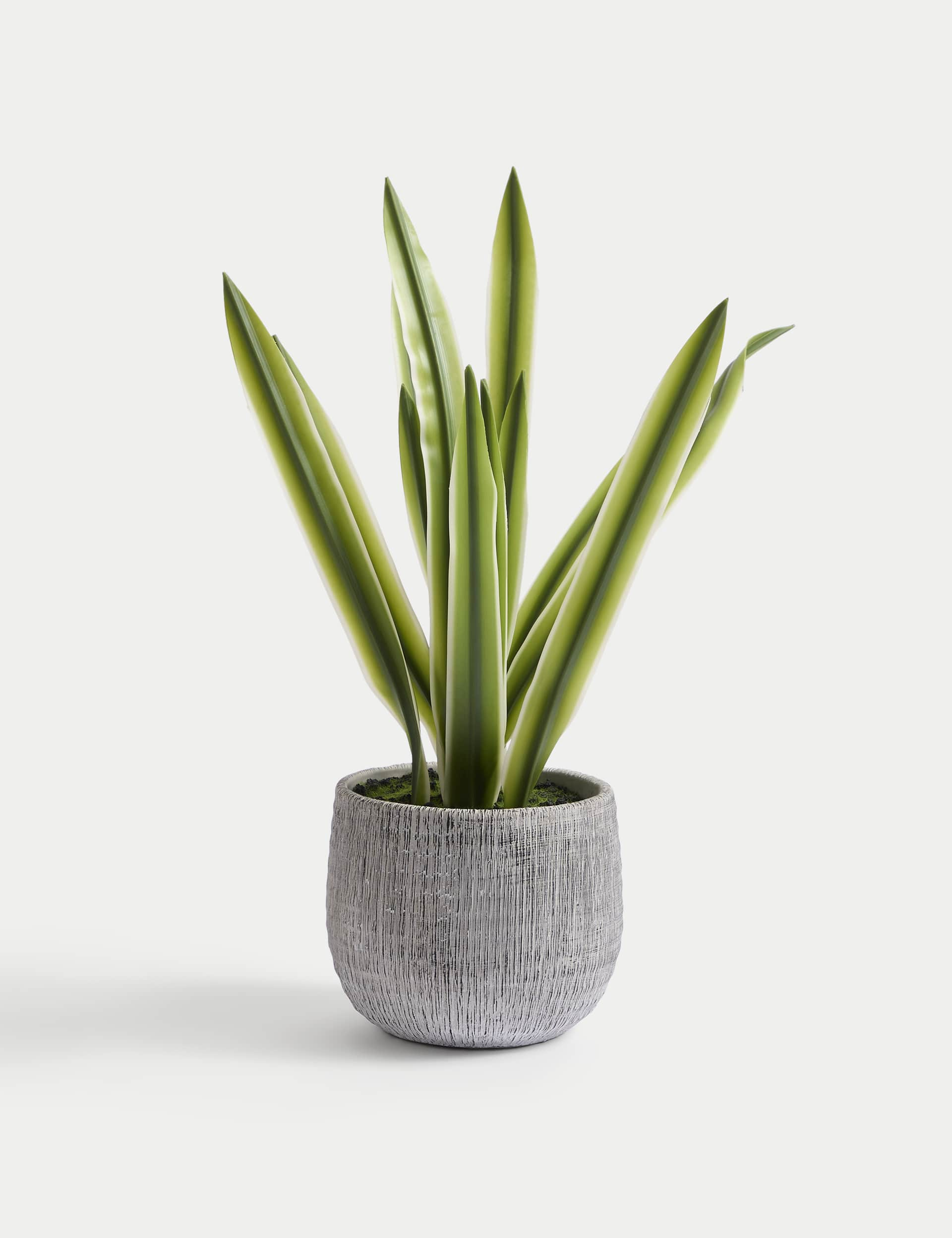 Moss & Sweetpea Artificial Natural Lily in Textured Pot - Green, Green