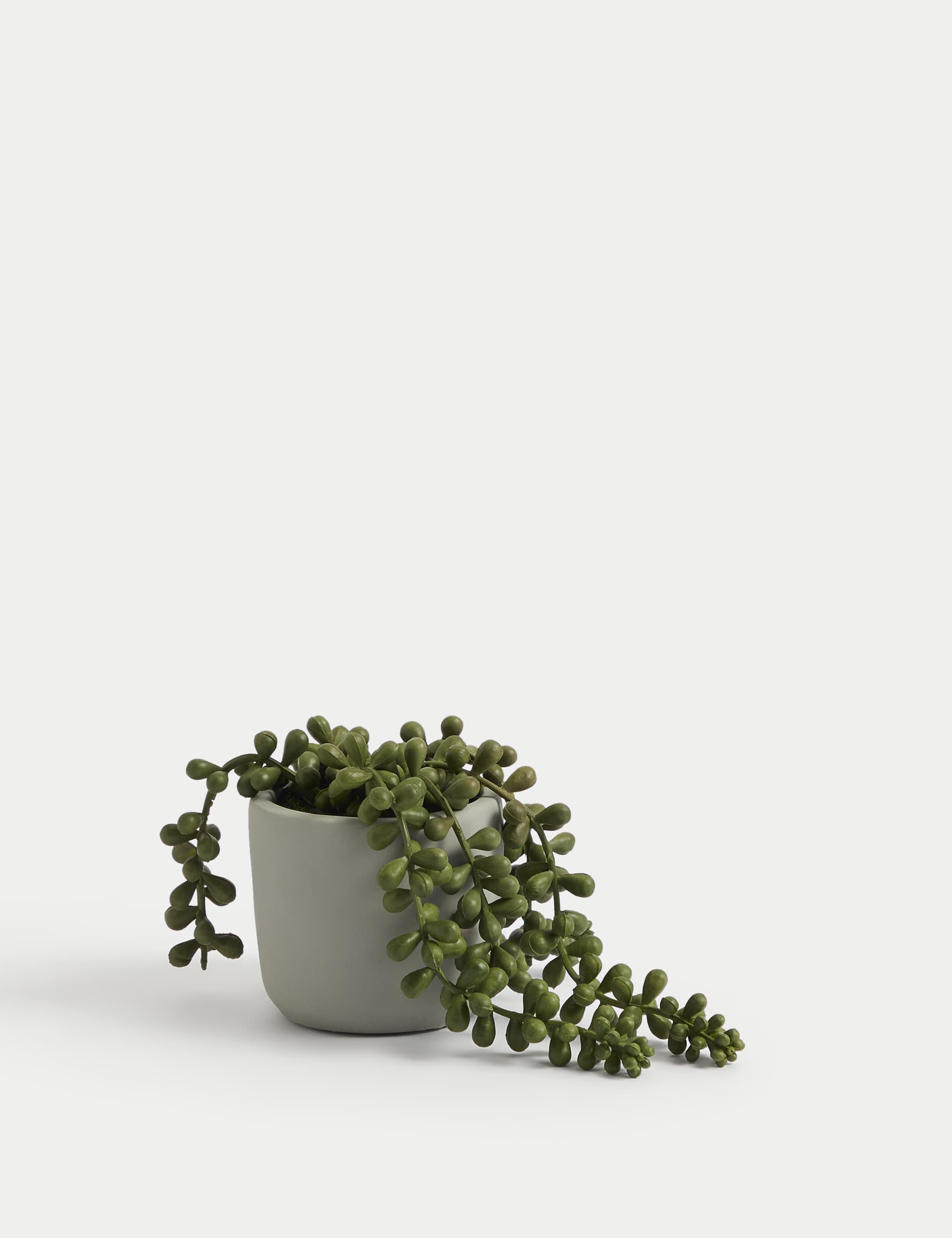 Moss & Sweetpea Artificial Mini String of Pearls in Pot - Green, Green