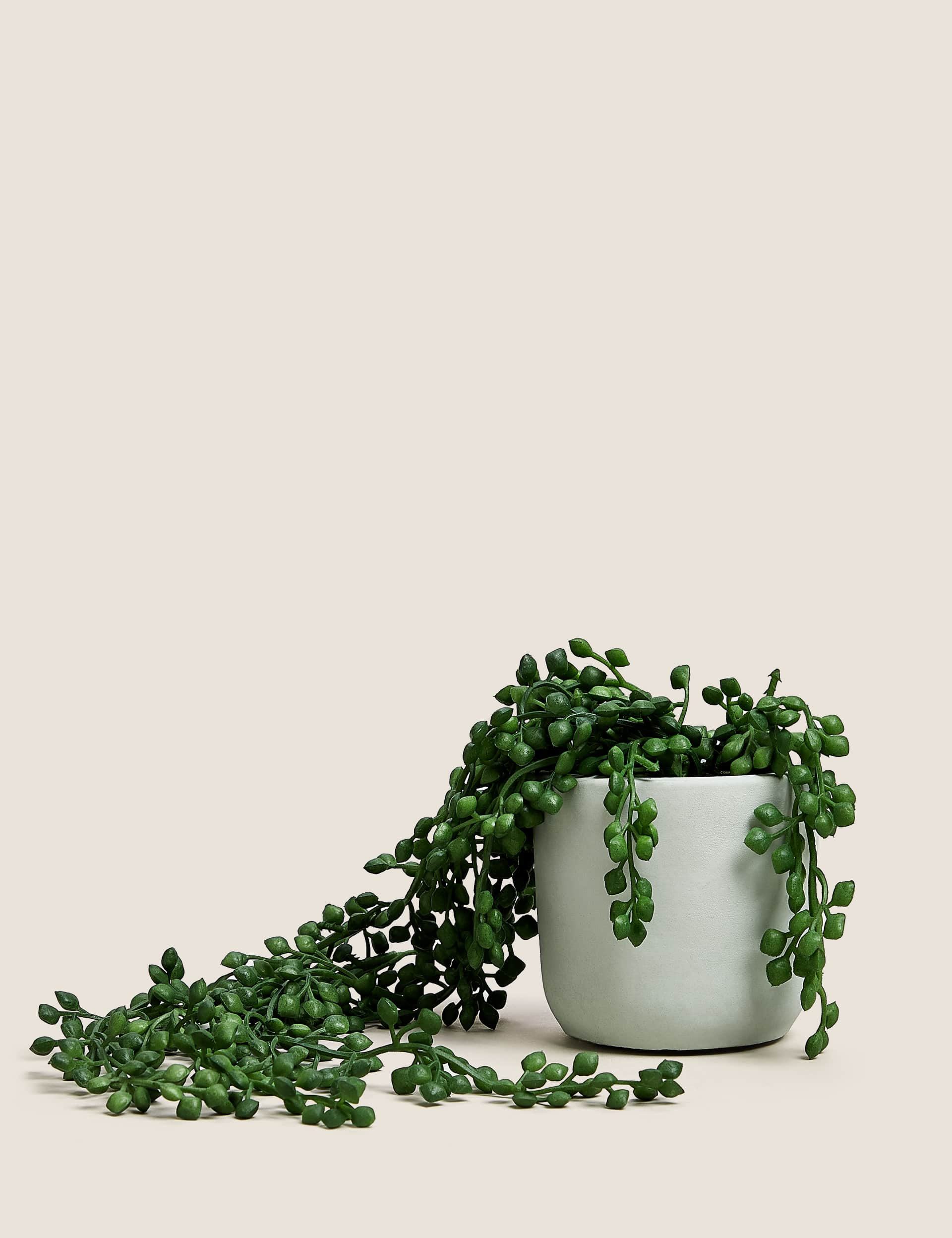 Moss & Sweetpea Artificial Mini Trailing Plant in Pot - Green, Green