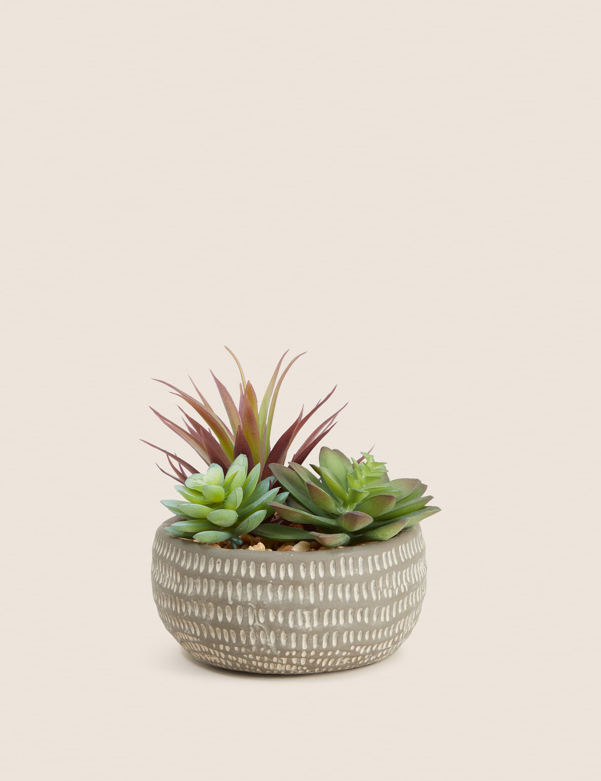 Moss & Sweetpea Artificial Succulents in Concrete Pot - Grey, Grey