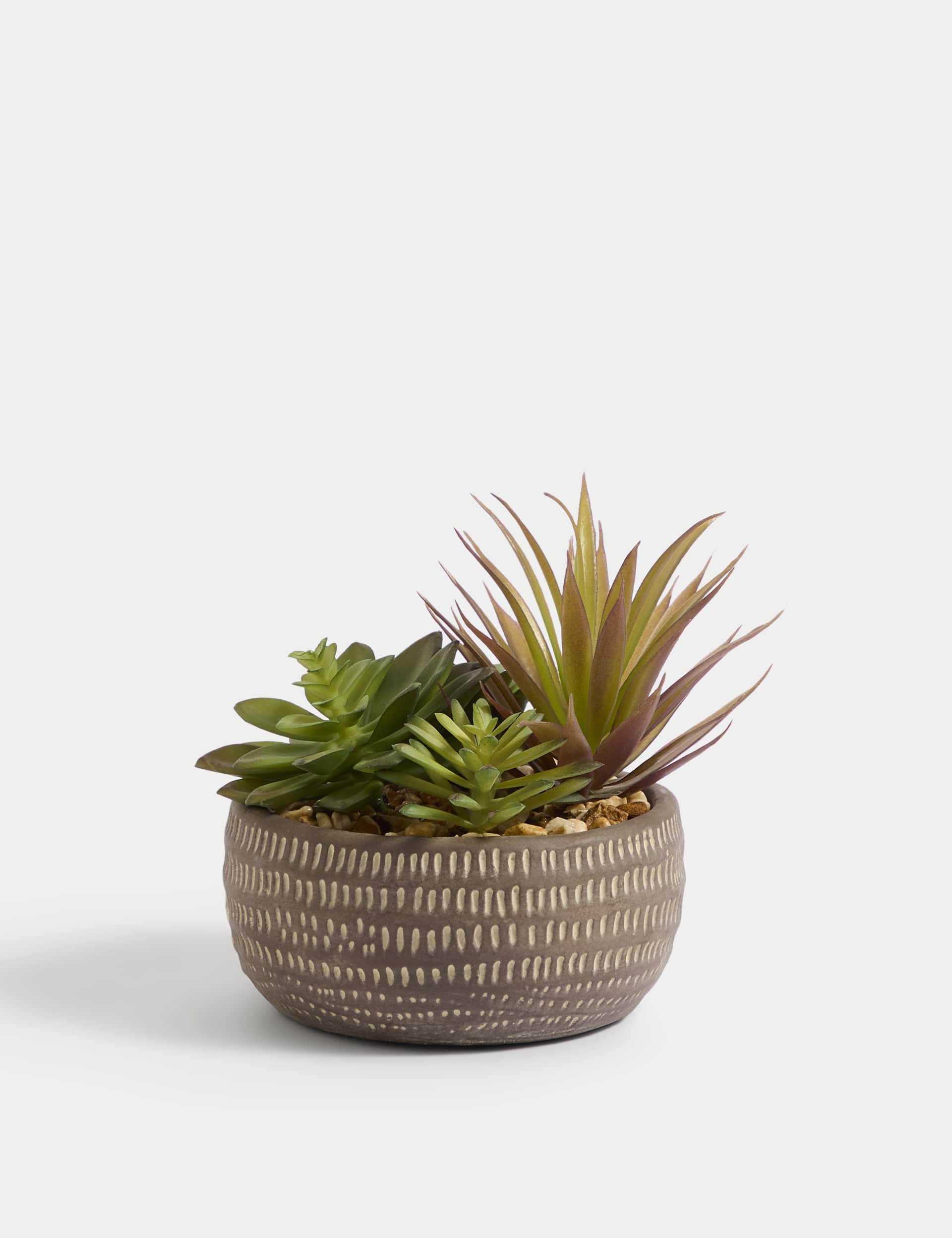 Moss & Sweetpea Artificial Succulents in Concrete Pot - Grey, Grey