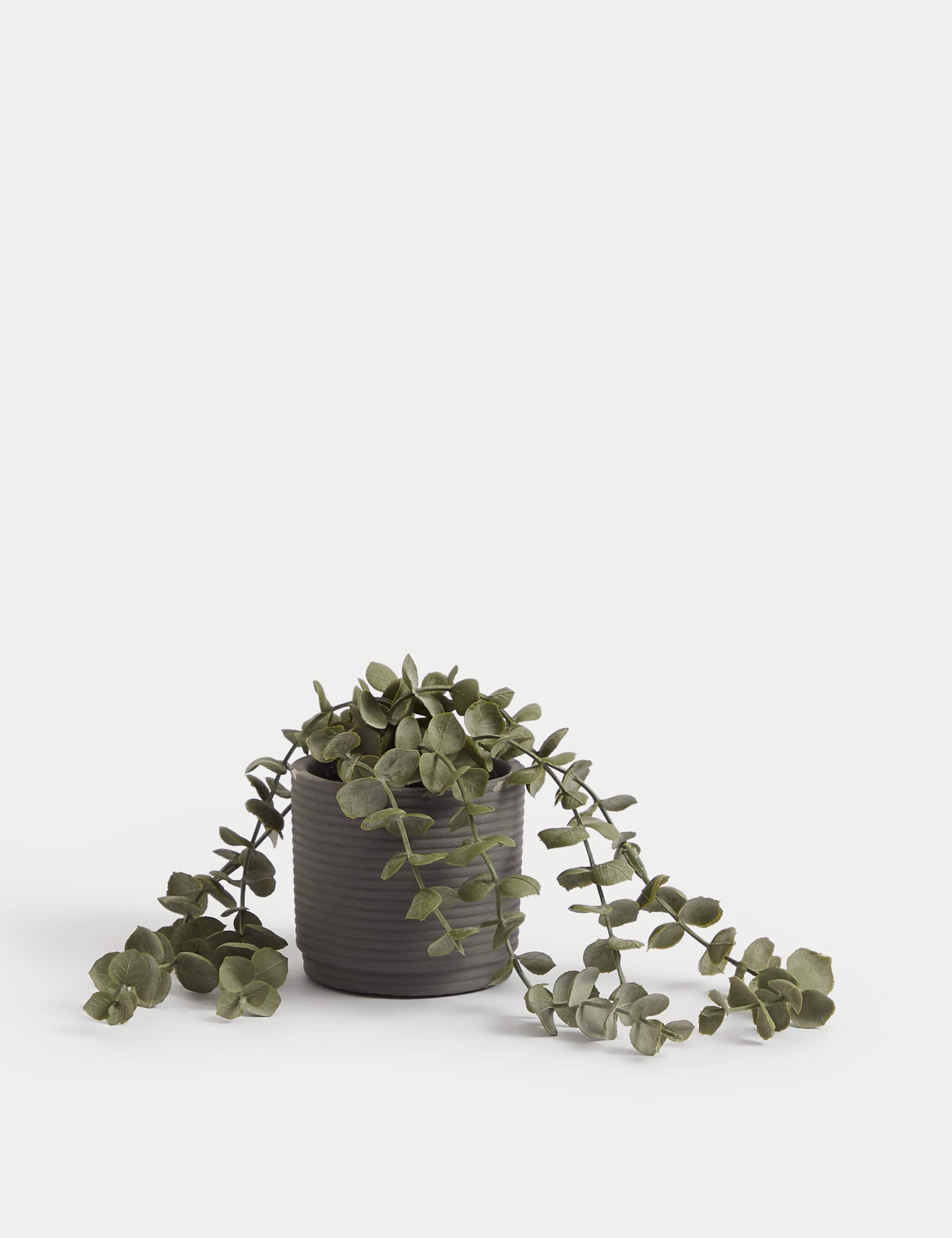 Moss & Sweetpea Artificial String of Hearts in Concrete Pot - Green, Green