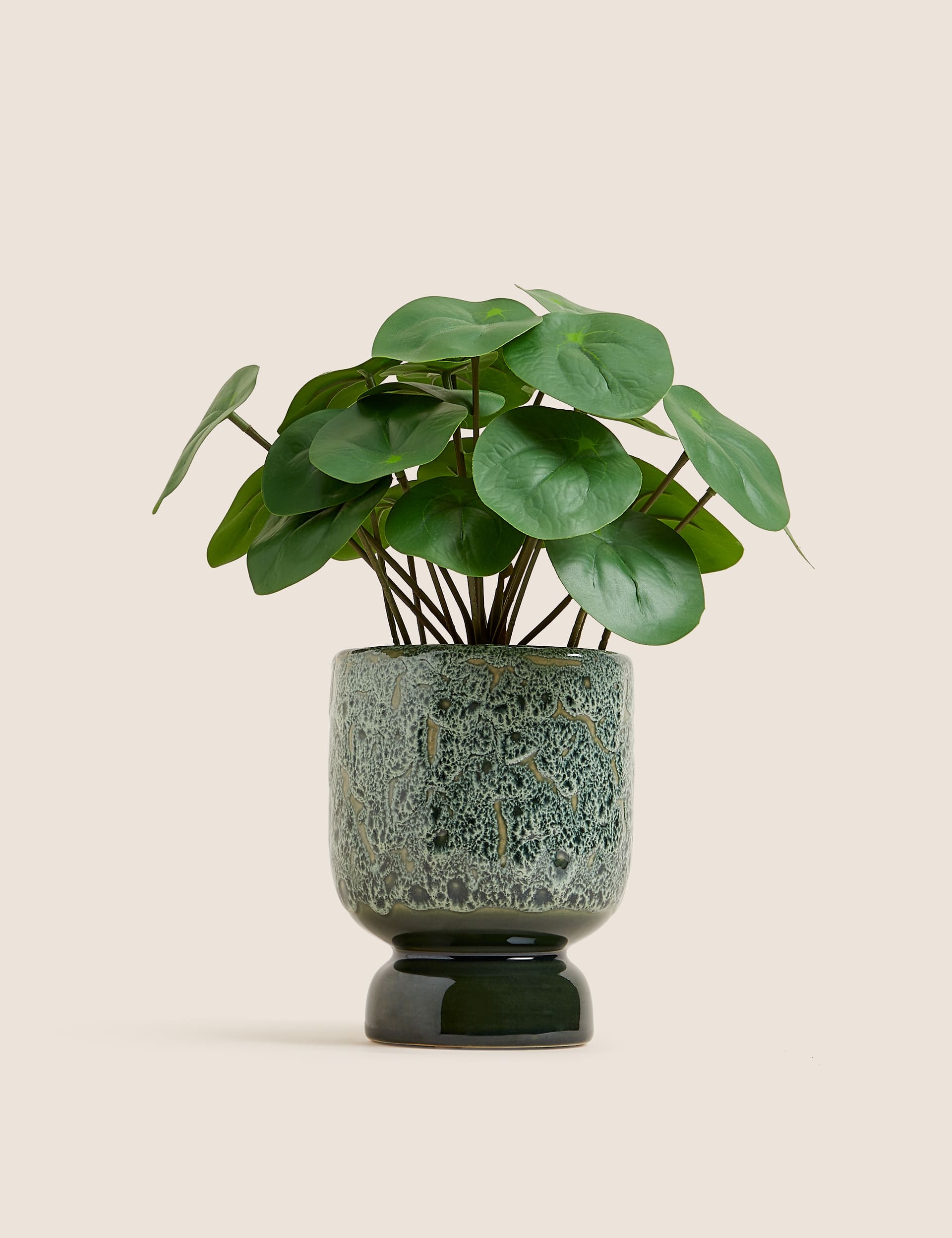 Moss & Sweetpea Artificial Chinese Money Plant in Ceramic Pot - Green, Green