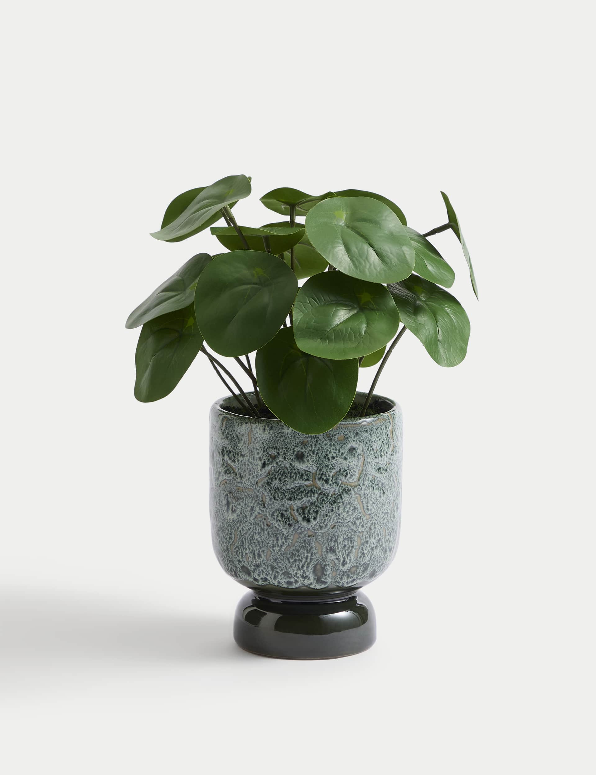 Moss & Sweetpea Artificial Chinese Money Plant in Ceramic Pot - Green, Green