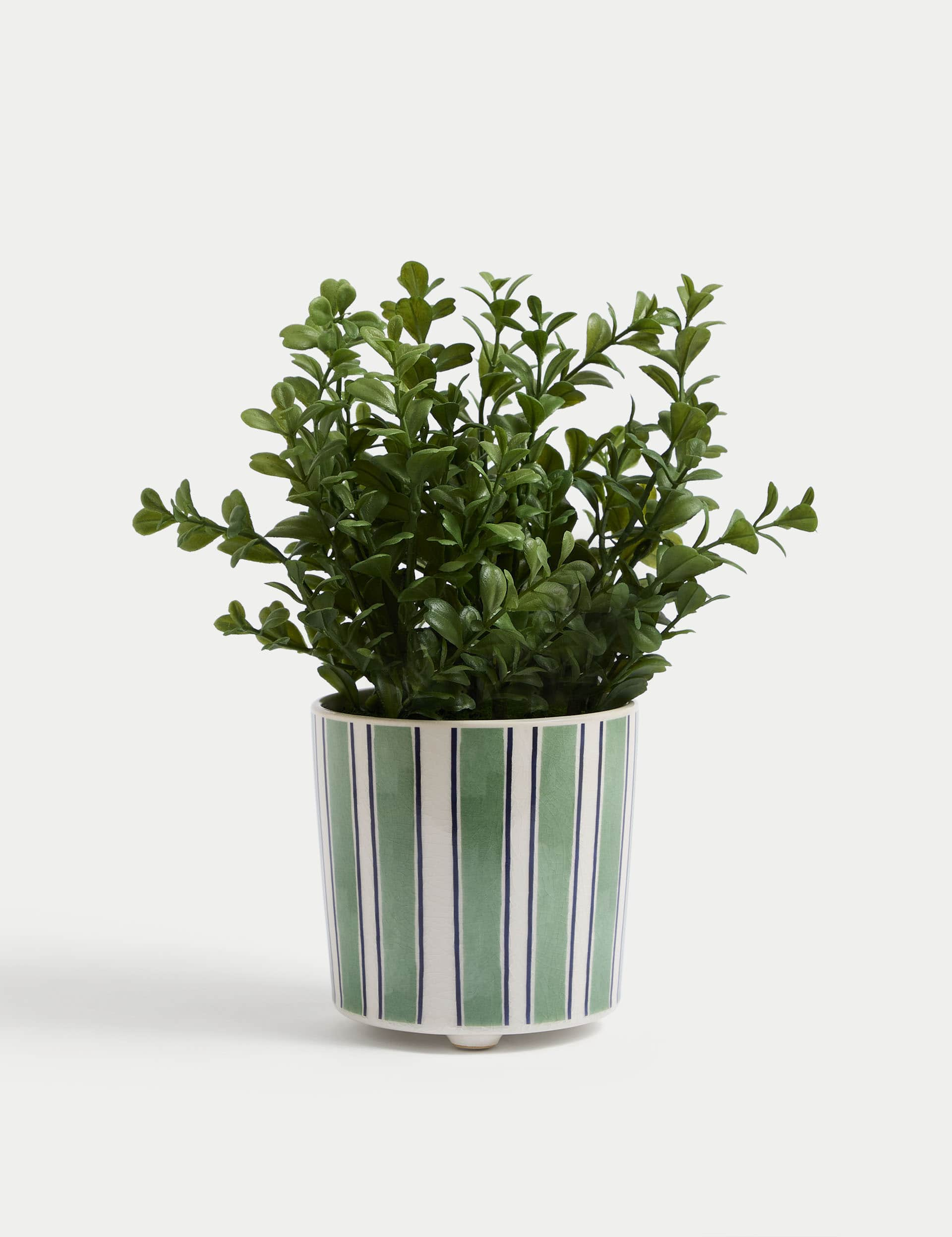 Moss & Sweetpea Artificial Boxwood Plant in Ceramic Pot - Green, Green