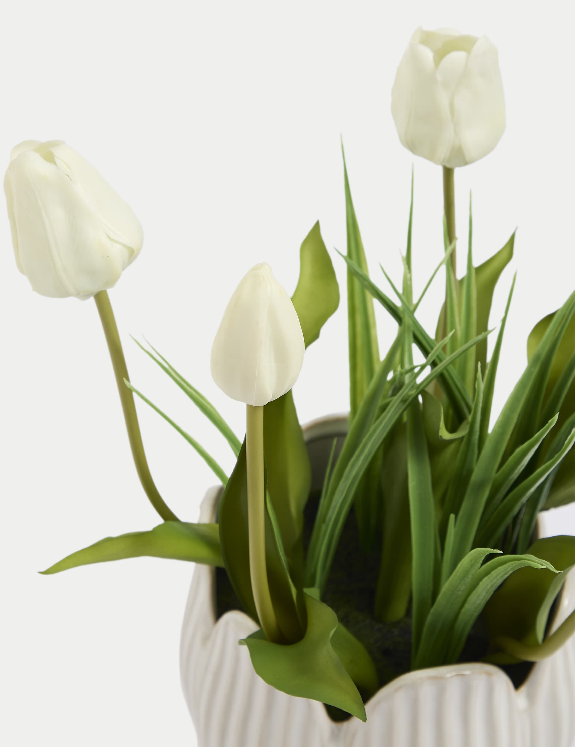 Moss & Sweetpea Artificial Tulips in Ceramic Pot - White, White