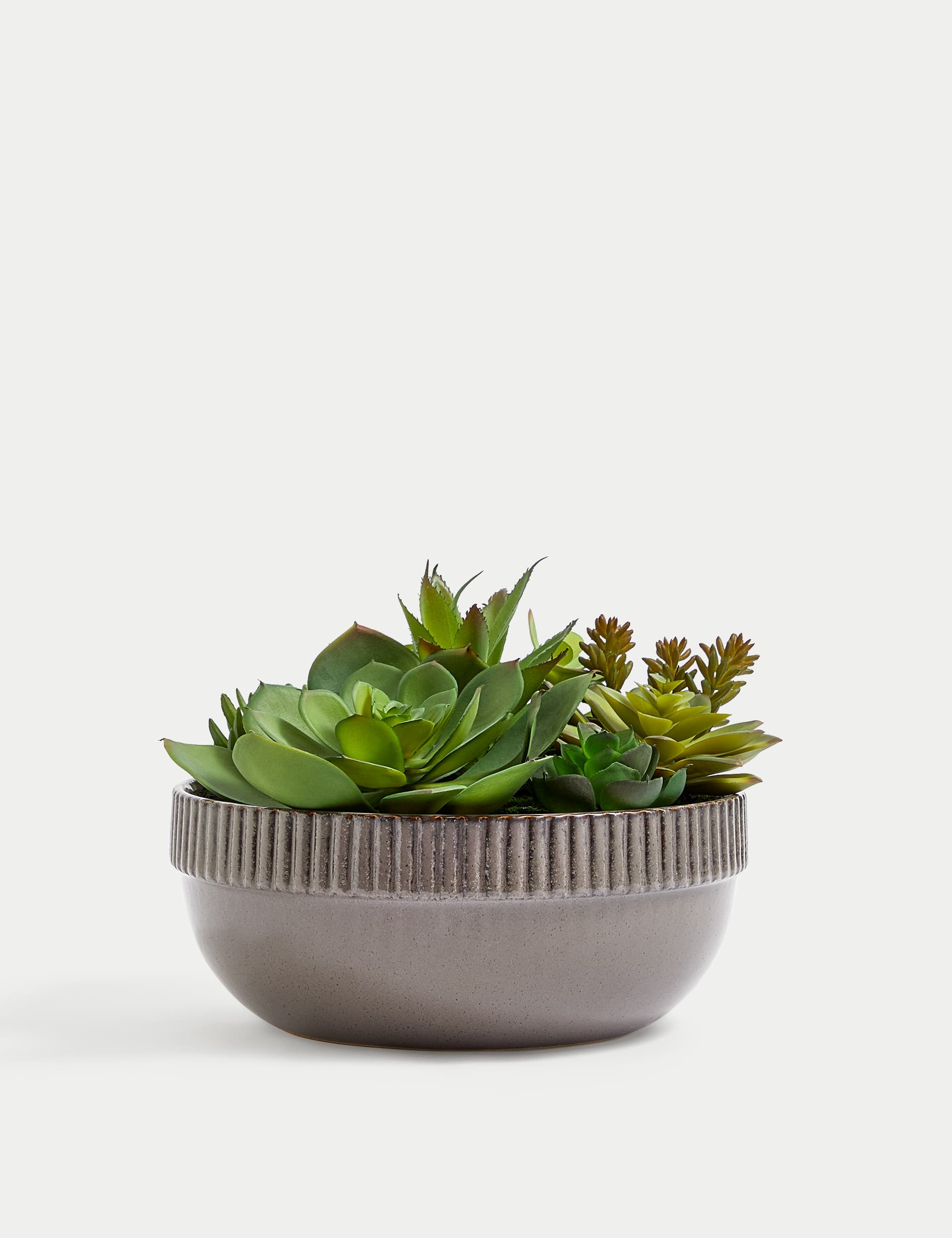 Moss & Sweetpea Artificial Succulent Garden in Ceramic Pot - Green, Green