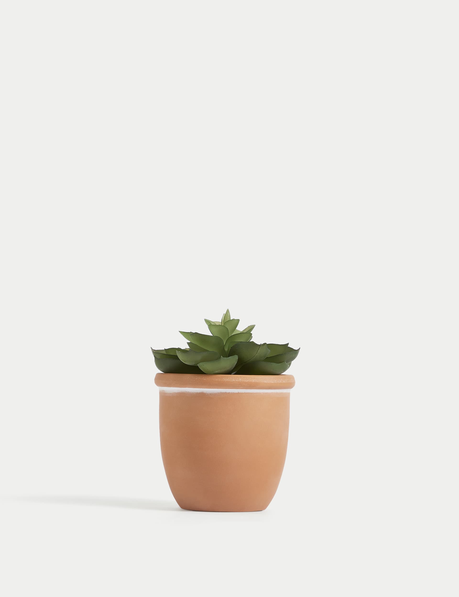 Moss & Sweetpea Artificial Mini Succulent in Terracotta Pot - Green, Green