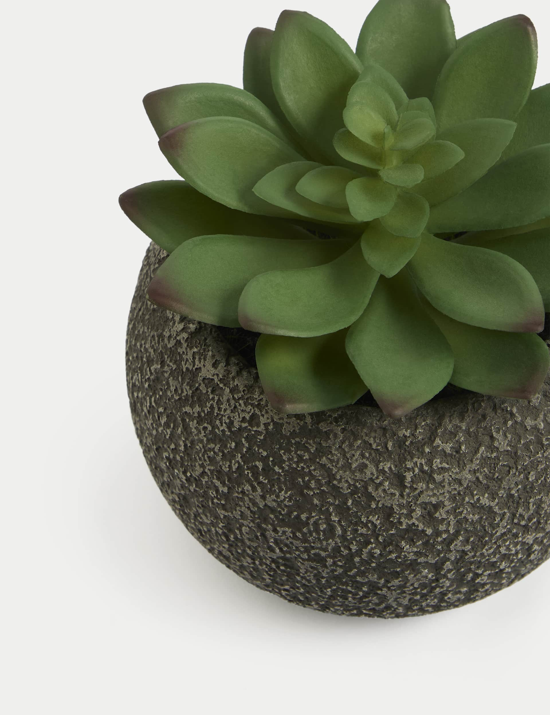 Moss & Sweetpea Artificial Mini Succulent in Concrete Pot - Green, Green