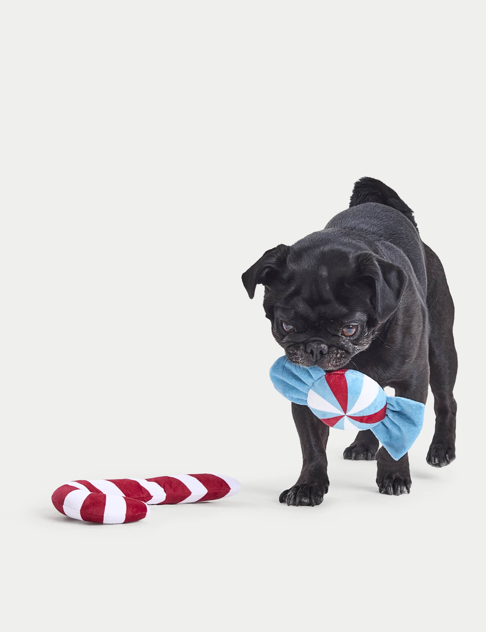 M&S Candy Cane & Sweetie Pet Toy - Multi, Multi