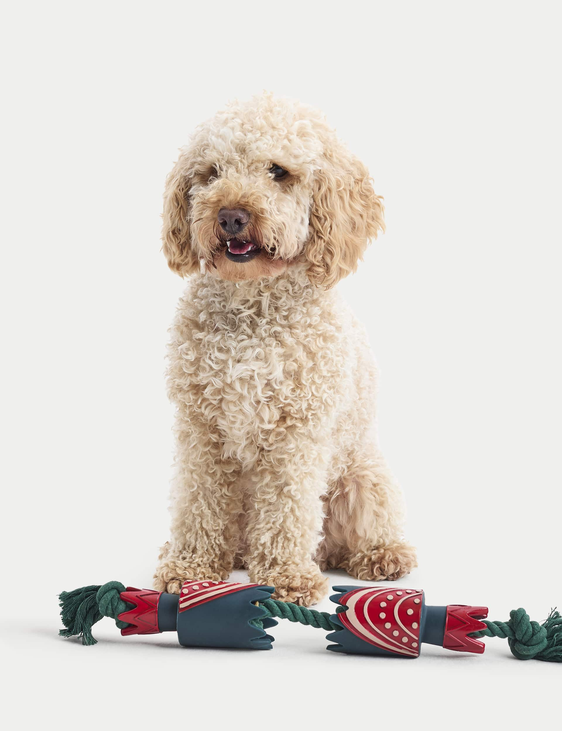 M&S Cracker Rope Pet Toy - Multi, Multi