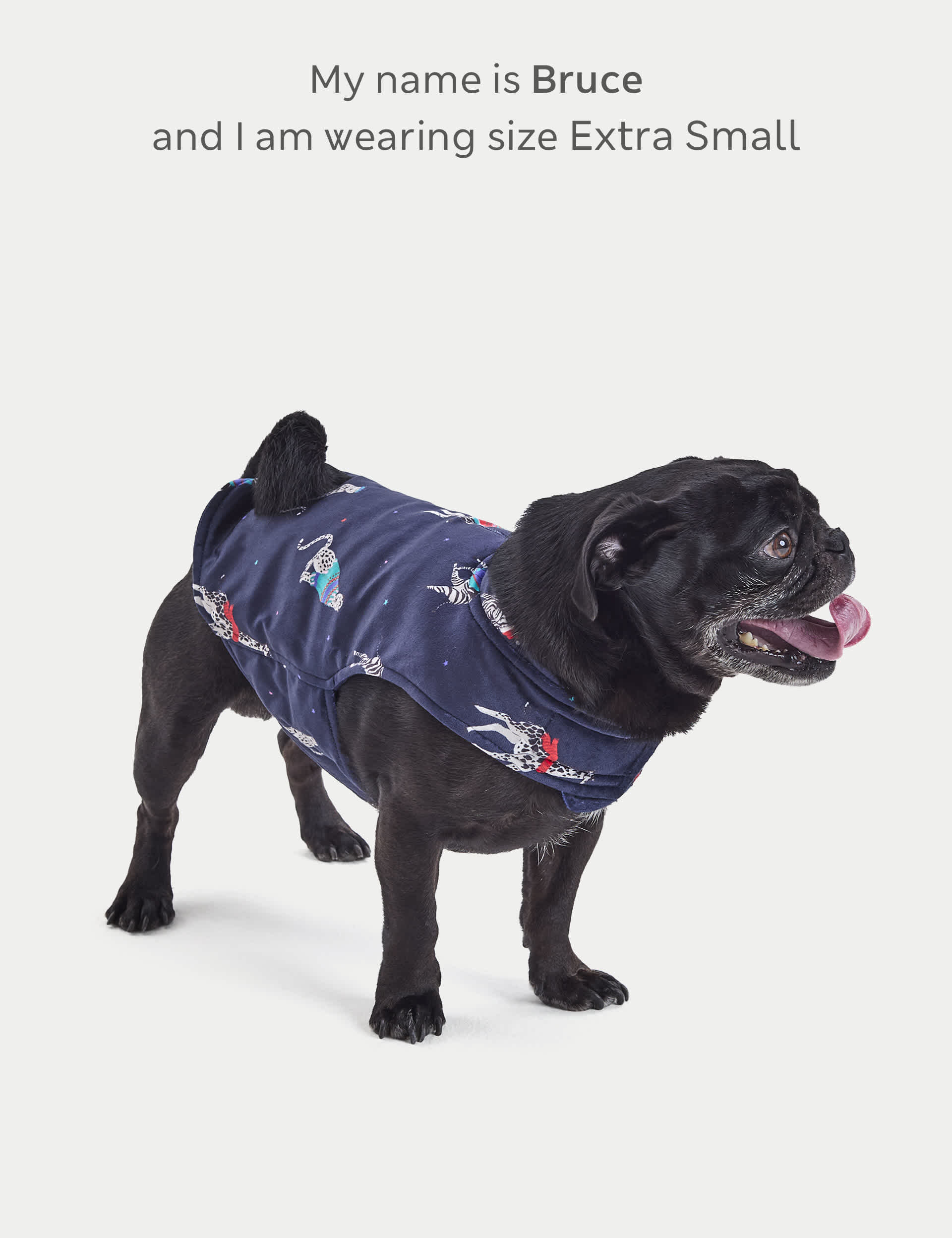 M&S Party Starter Pet Jumper - Multi, Multi