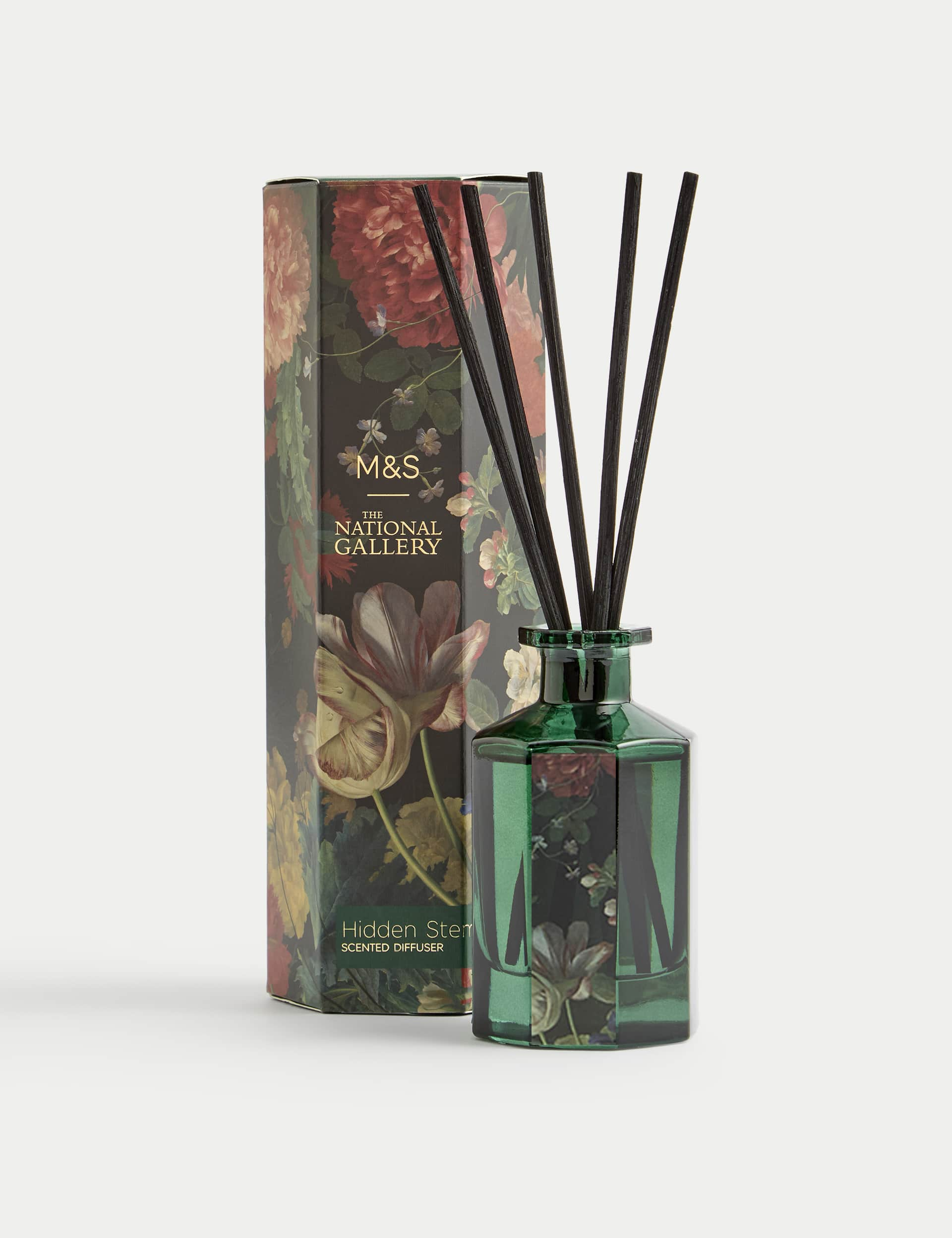 M&S X National Gallery Hidden Stems 100ml Diffuser - Green, Green