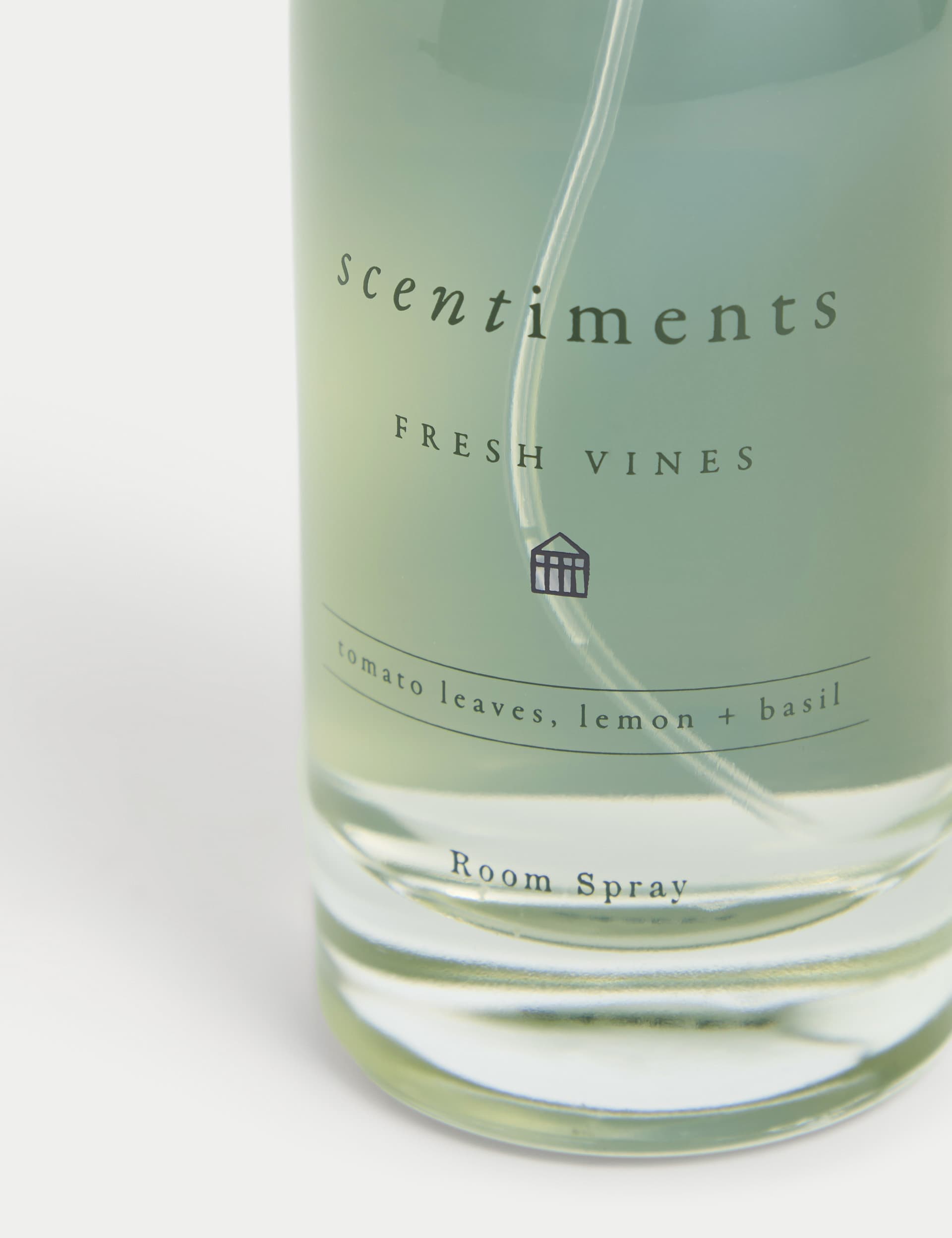 Scentiments Fresh Vines Room Spray - Green Mix, Green Mix