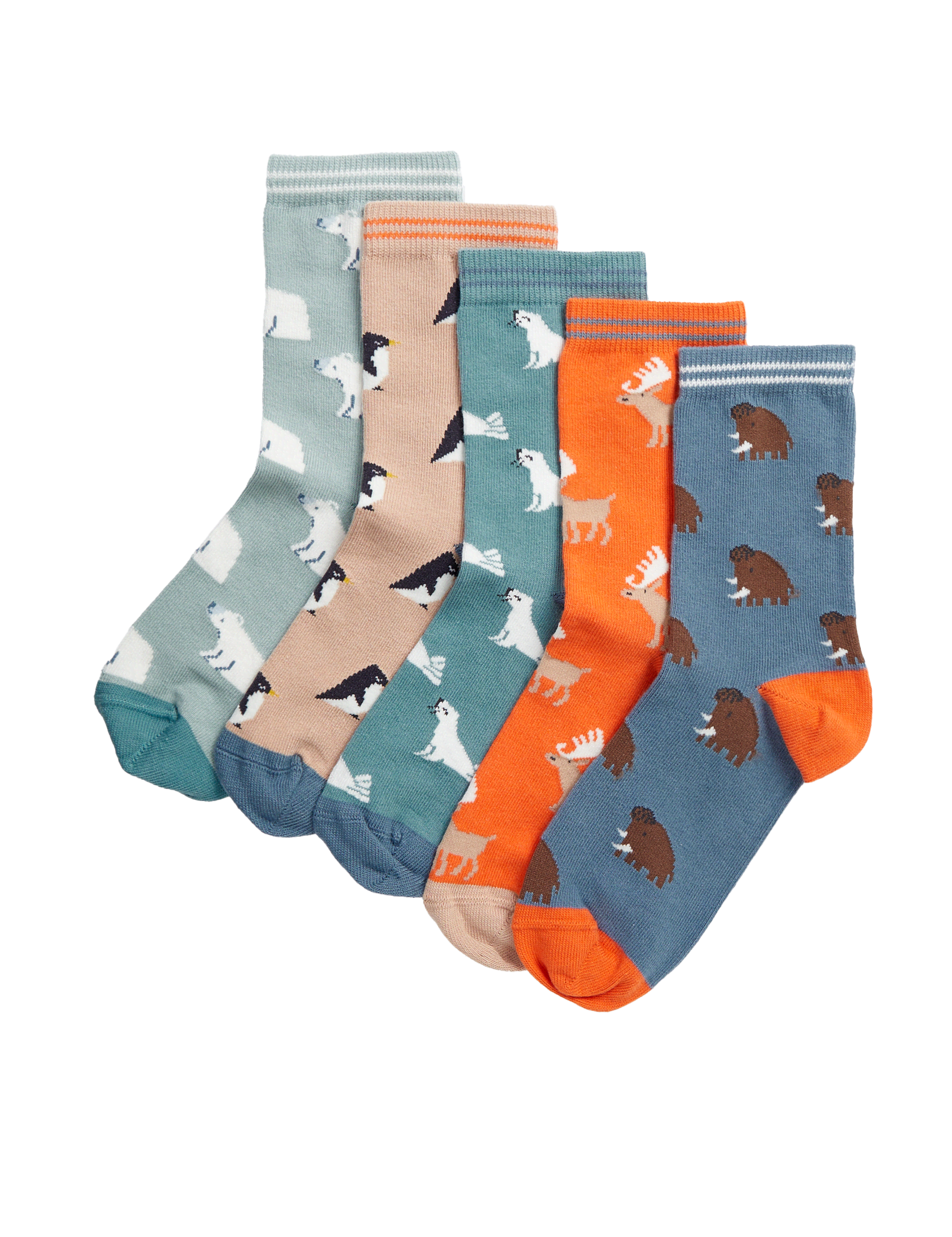 M&S Collection Boys 5pk Cotton Rich Animal Socks (6 Small - 7 Large) - 12+3+ - Multi, Multi