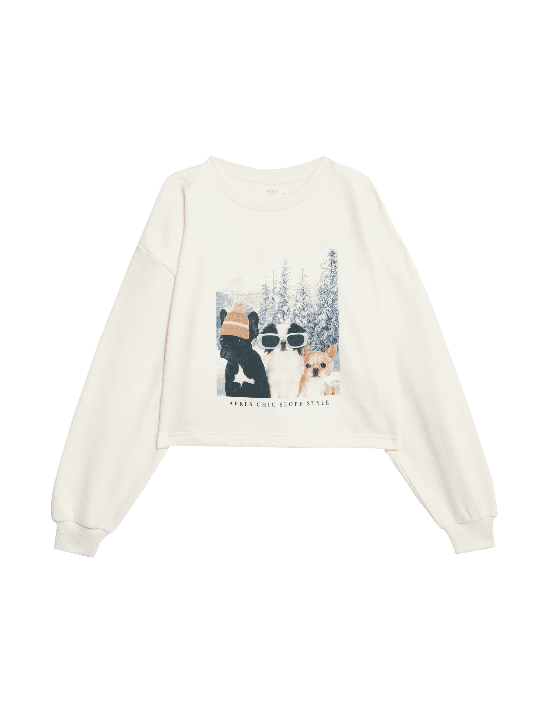 M&S Collection Girls Cotton Rich Ski Dog Graphic Sweatshirt (2-16 Yrs) - 15-16 - Ivory, Ivory