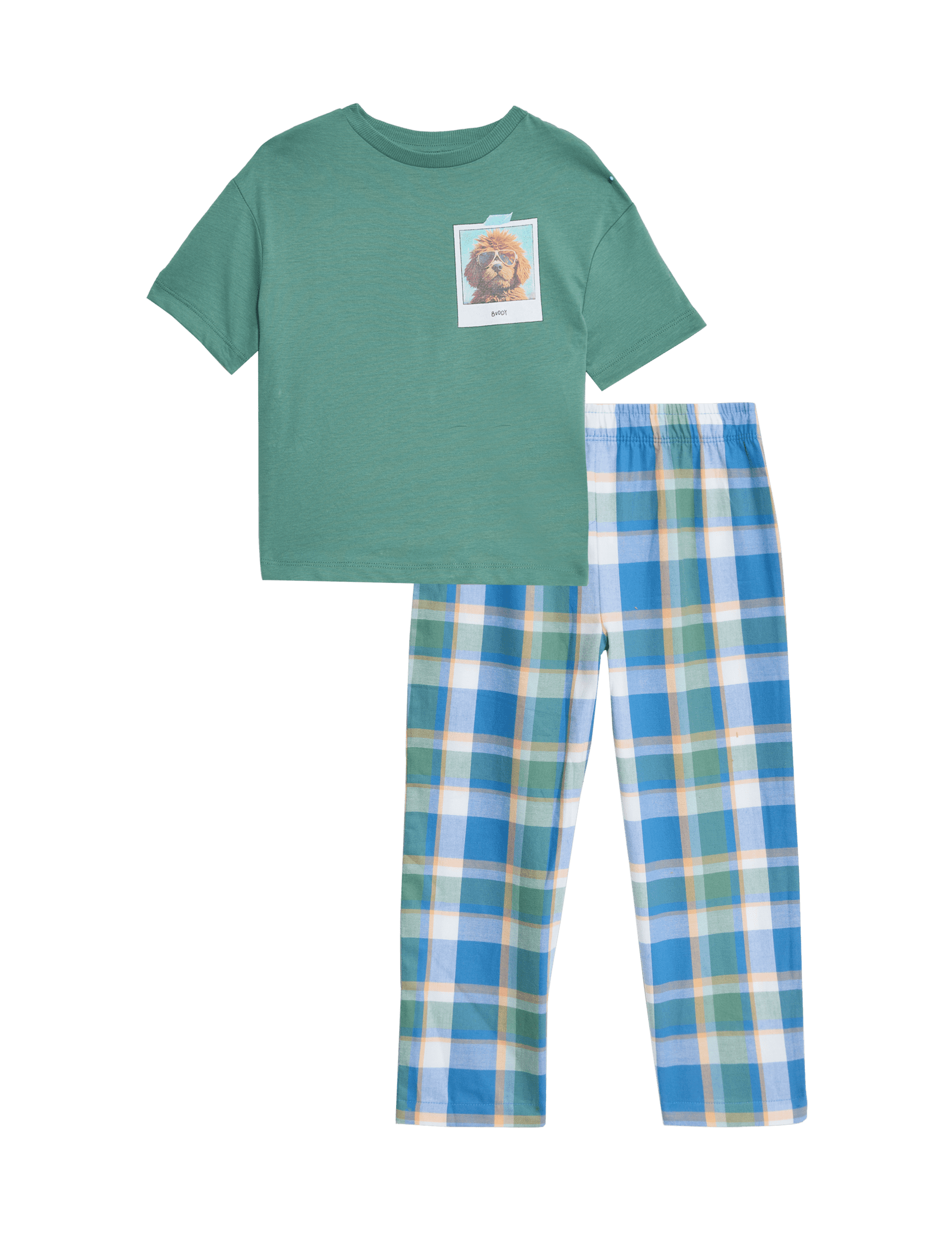 M&S Collection Boys Pure Cotton Dog Pyjamas (1-8 Yrs) - 1-2Y - Green, Green