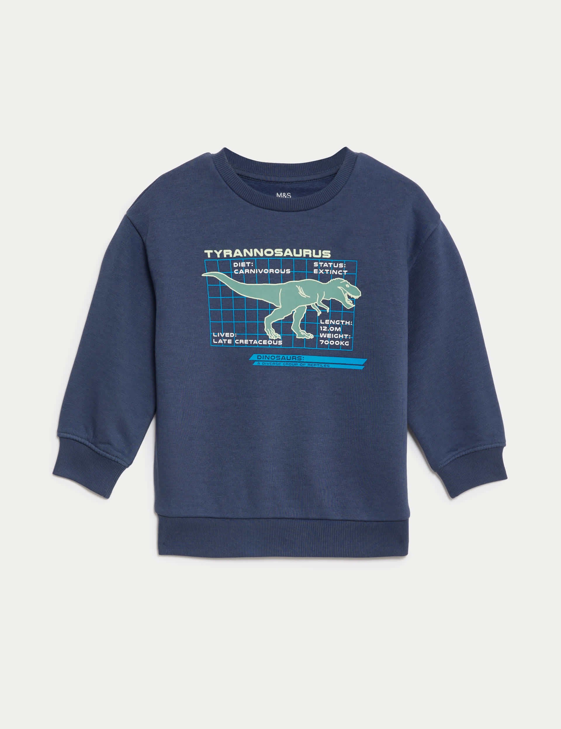 M&S Boys Cotton Rich Dinosaur Sweatshirt (2-8 Yrs)