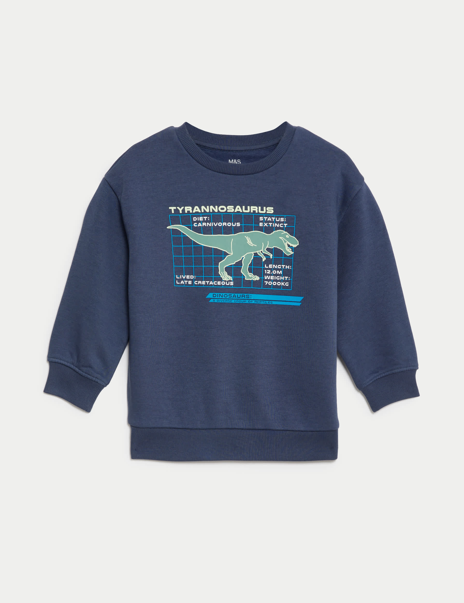 M&S Boys Cotton Rich Dinosaur Sweatshirt (2-8 Yrs) - 2-3 Y - Air Force Blue, Air Force Blue