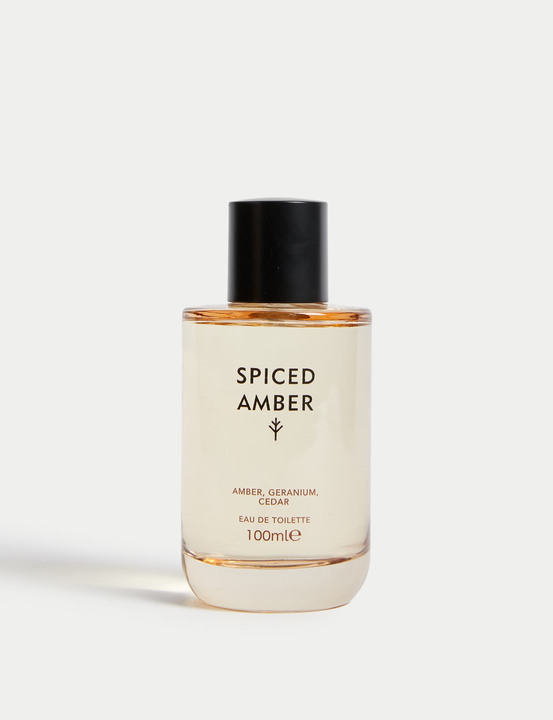 Discover Spiced Amber Eau De Toilette 100ml