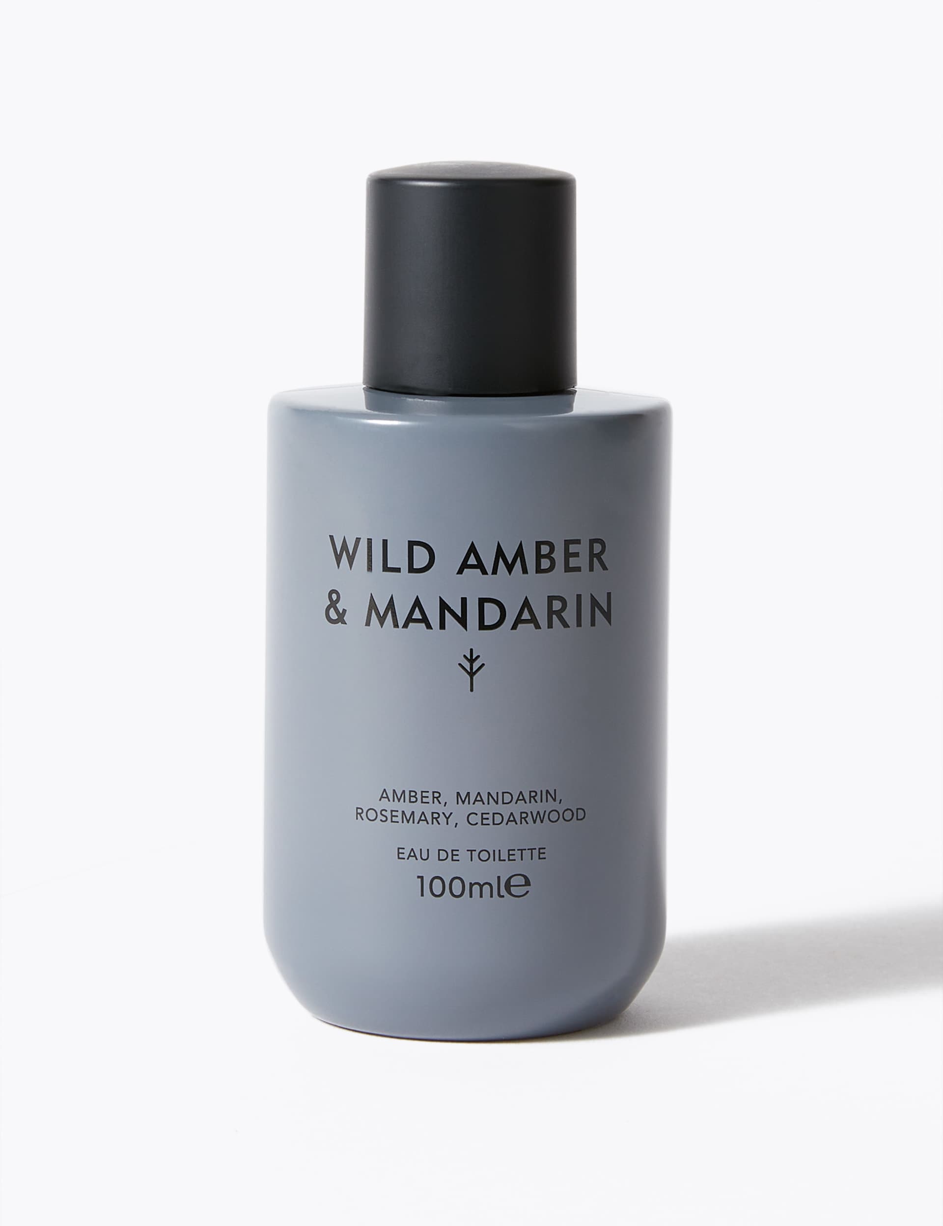 Discover Intense Wild Amber & Mandarin Eau de Toilette 100ml