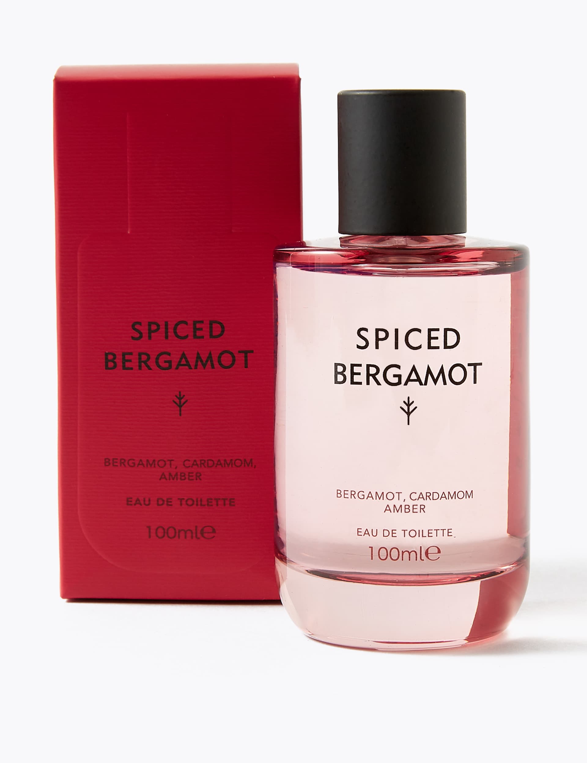 Discover Women's Spiced Bergamot Eau de Toilette 100ml