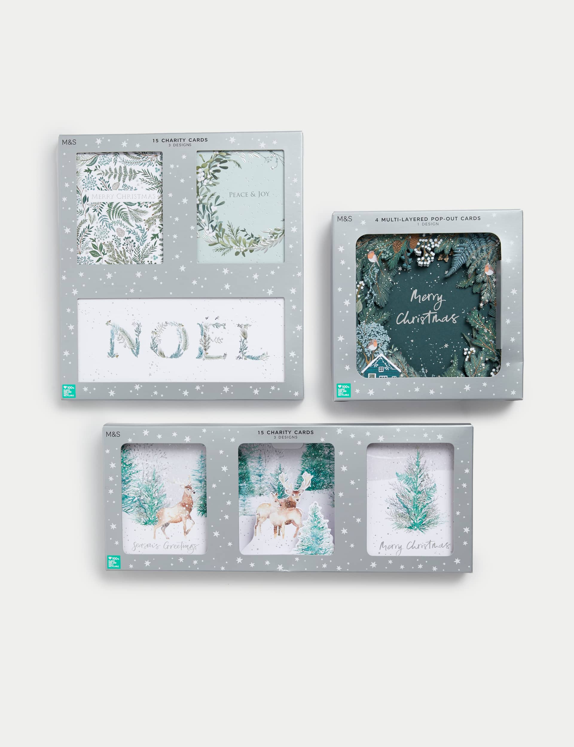 M&S 34 Charity Christmas Cards - Winter Foliage Designs