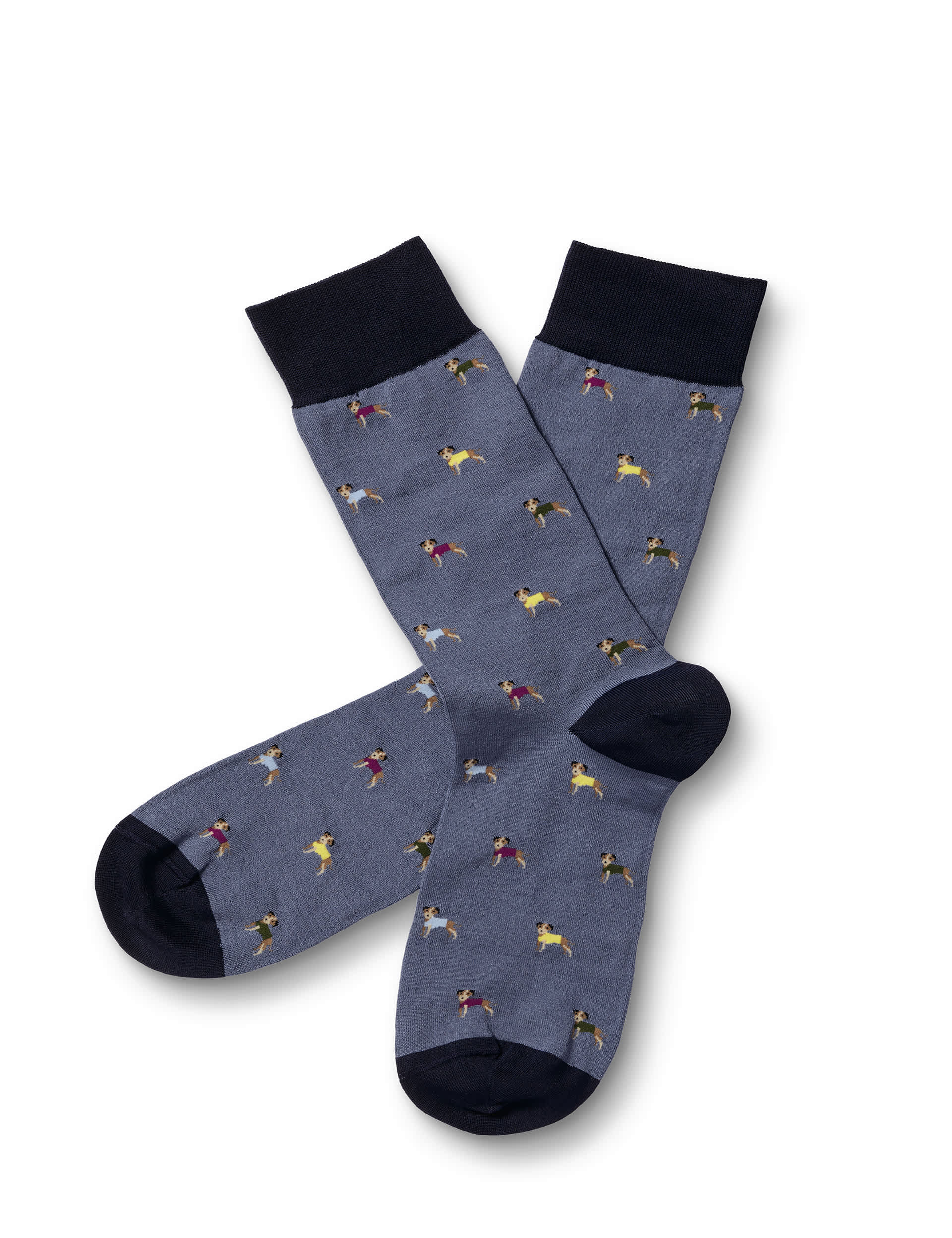 Charles Tyrwhitt Men's Dog In a Jumper Cotton Rich Socks - Blue Mix, Blue Mix