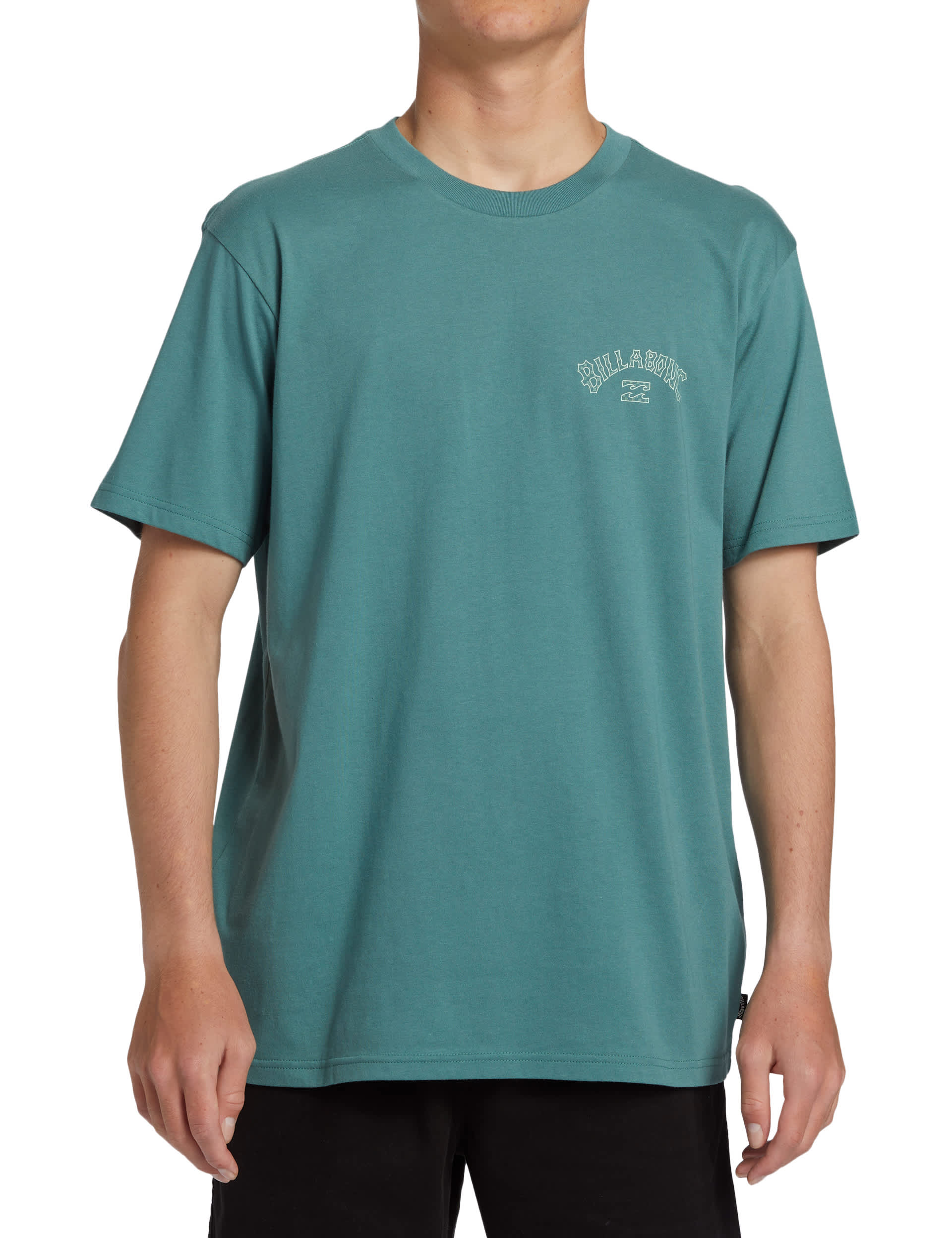 Billabong Men's Arch Fill Pure Cotton Printed T-Shirt - Green, Green