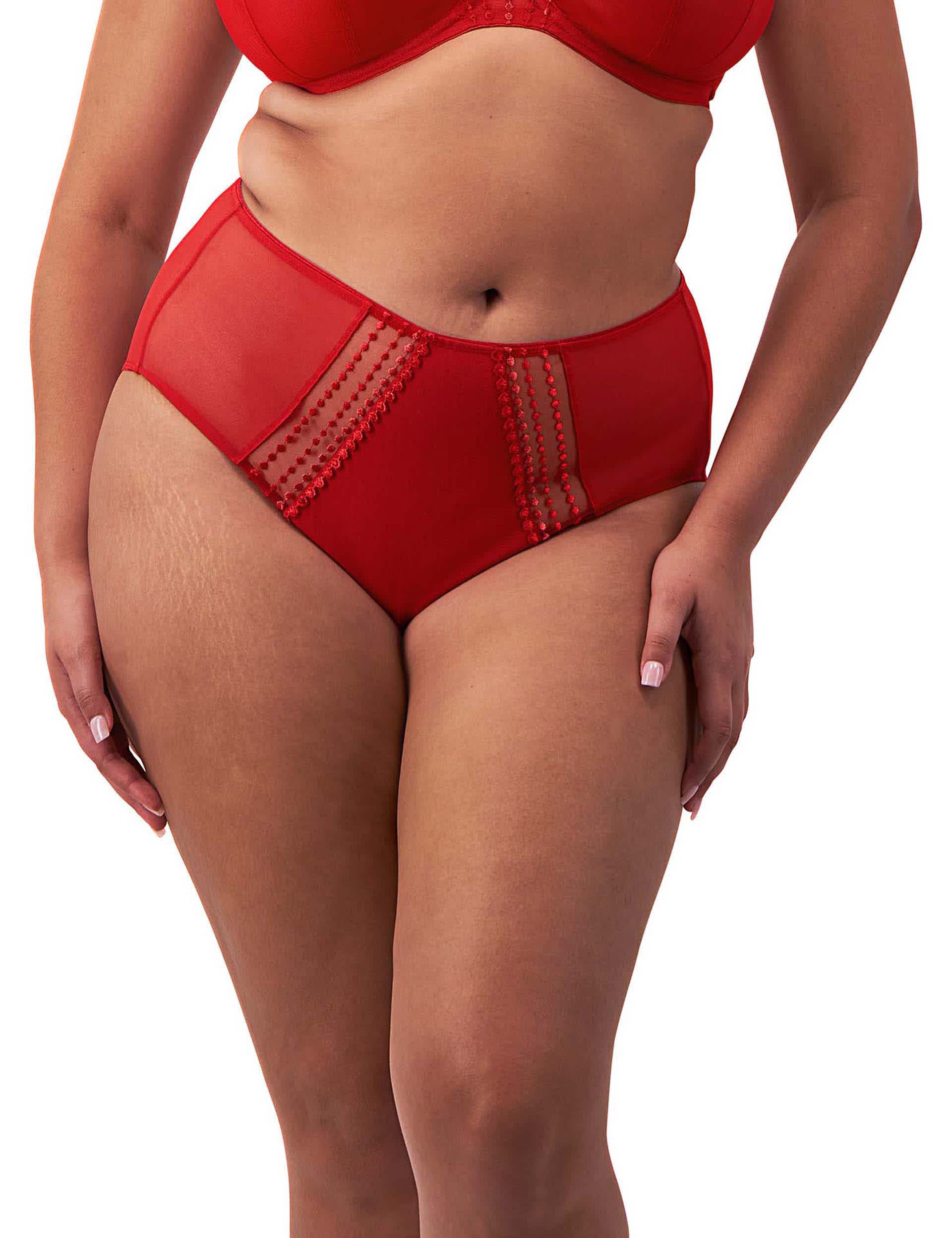 Elomi Women's Matilda Embroidered High Waisted Briefs  Red