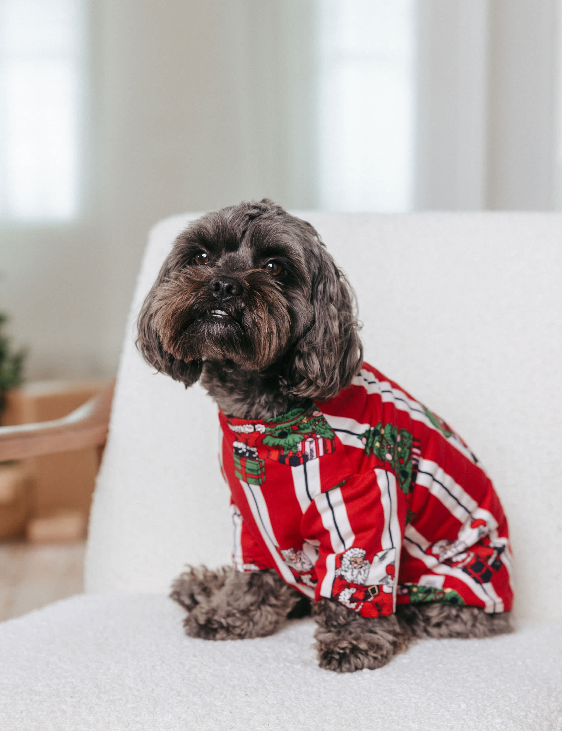 Chelsea Peers Candy Cane Festive Print Dog Pyjamas - XS - Red Mix, Red Mix