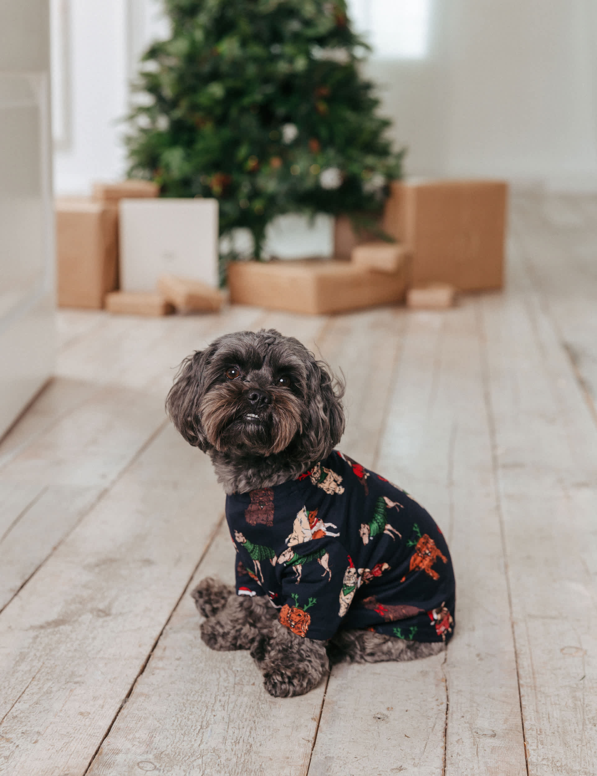 Chelsea Peers Christmas Dogs Print Dog Pyjama Top - XS - Navy Mix, Navy Mix