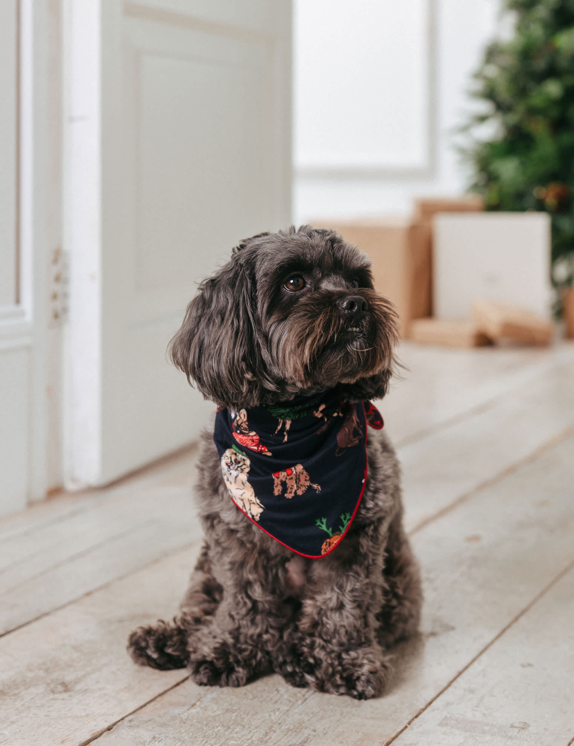 Chelsea Peers Christmas Dogs Print Dog Neckerchief - Navy Mix, Navy Mix