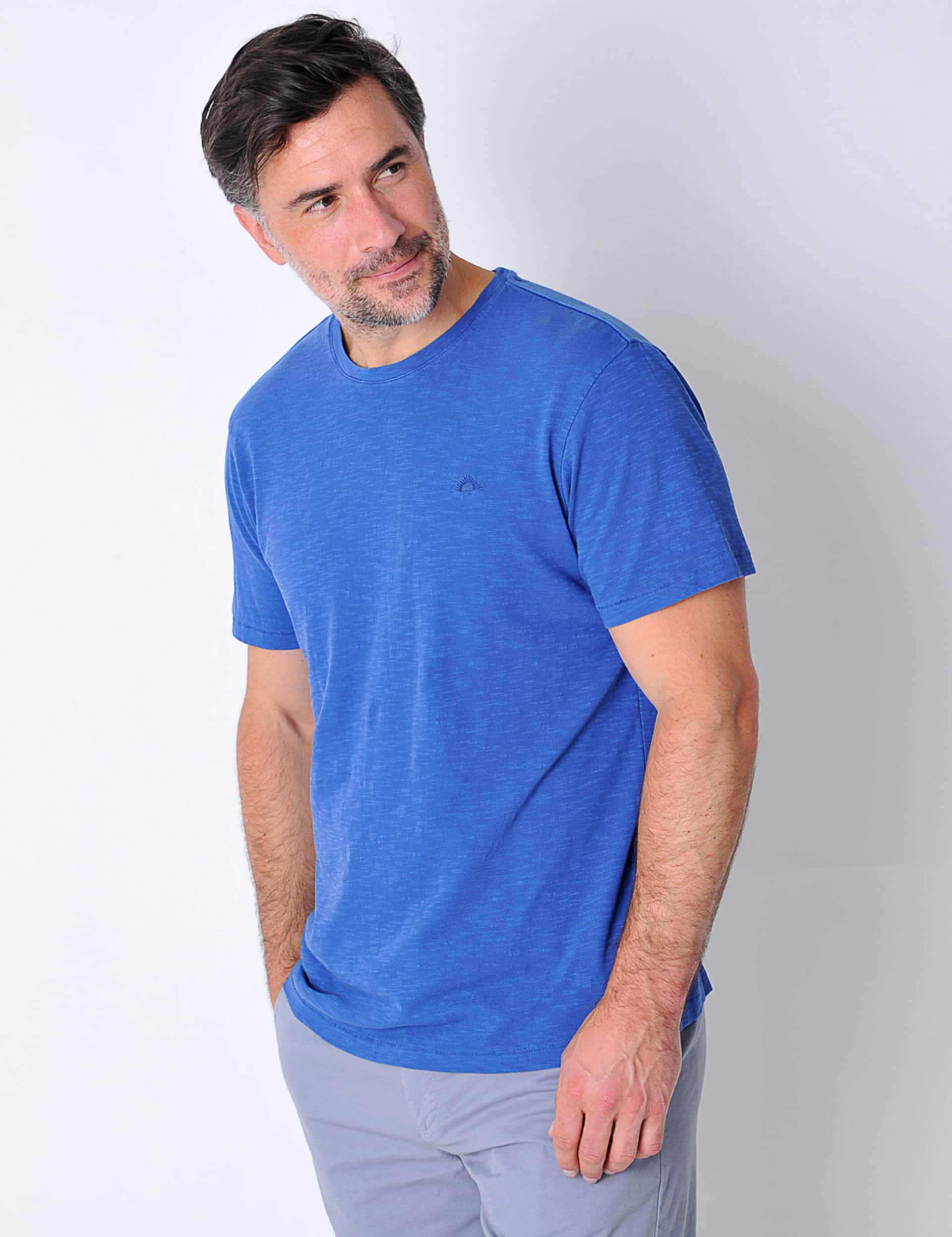 Burgs Men's Pure Cotton Crew Neck T-Shirt - Blue, White,Blue