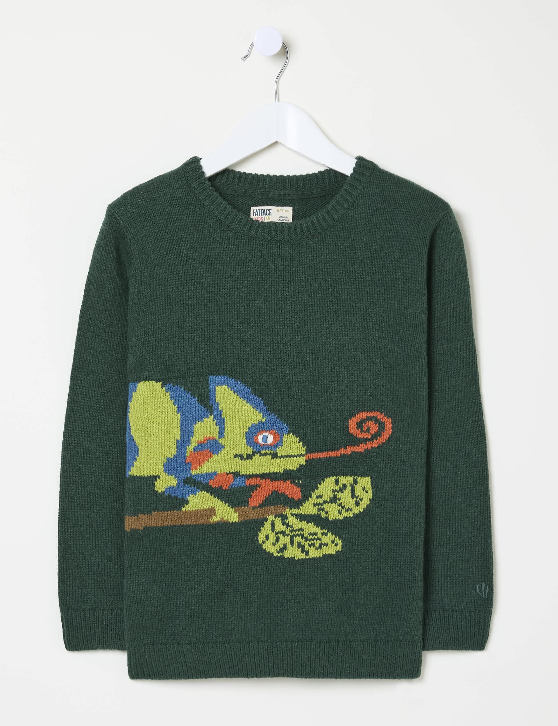 Fatface Boys Cotton Rich Chameleon Jumper with Wool (3-13 Yrs) - 10-11 - Green Mix, Green Mix