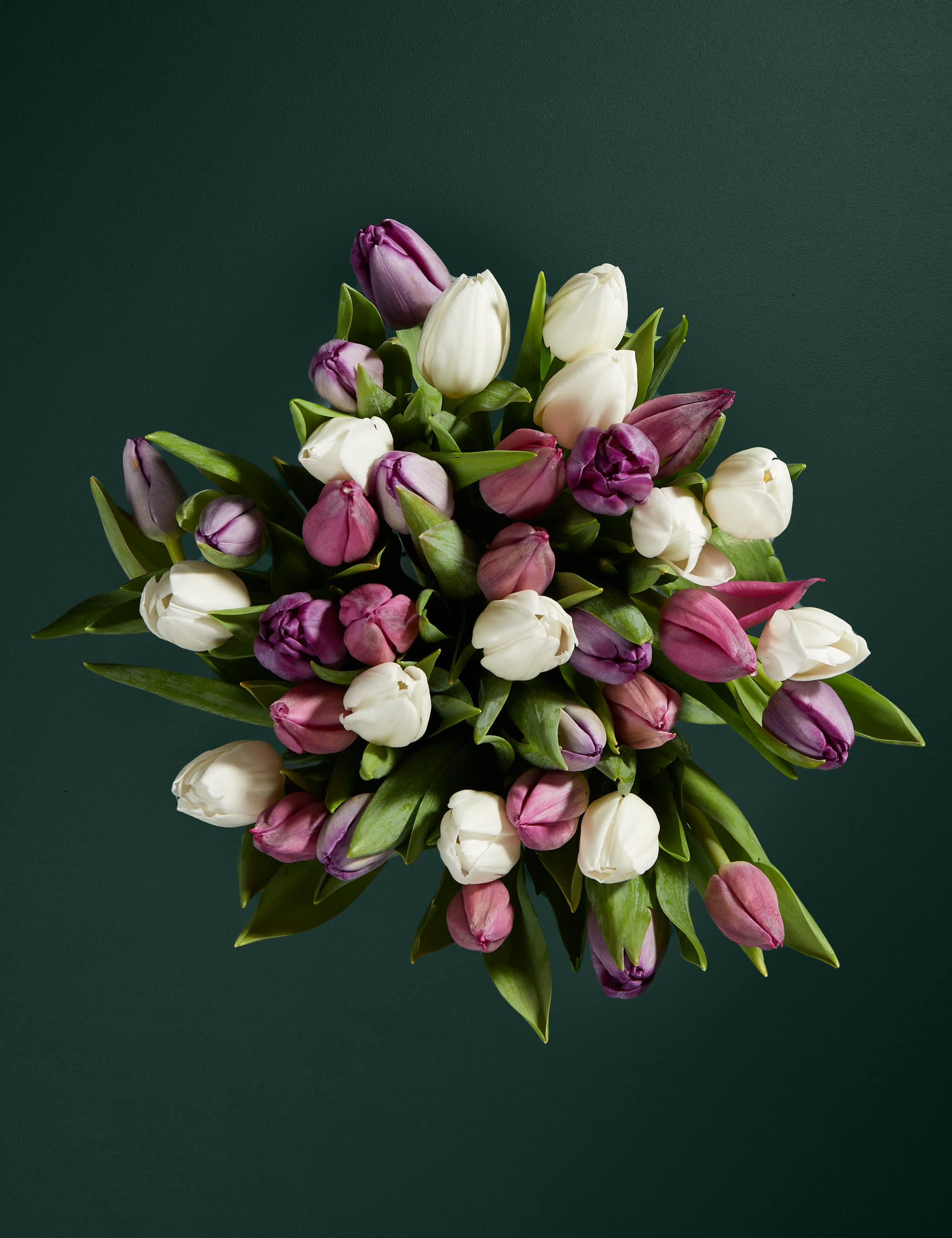 M&S An Abundance of Pastel Tulips Bouquet