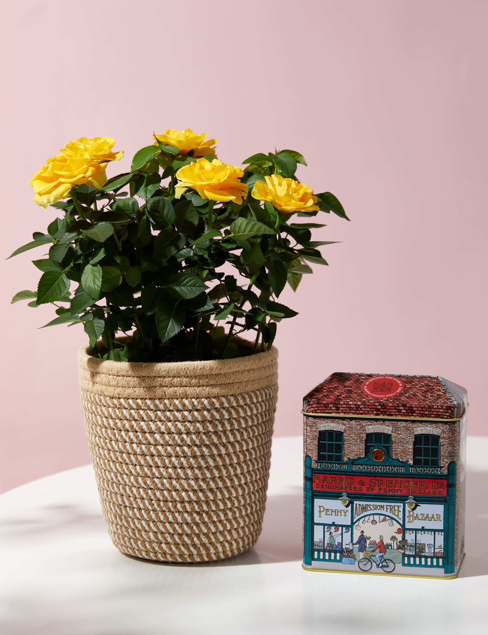 M&S Rose Plant with Penny Bazaar Shortbread