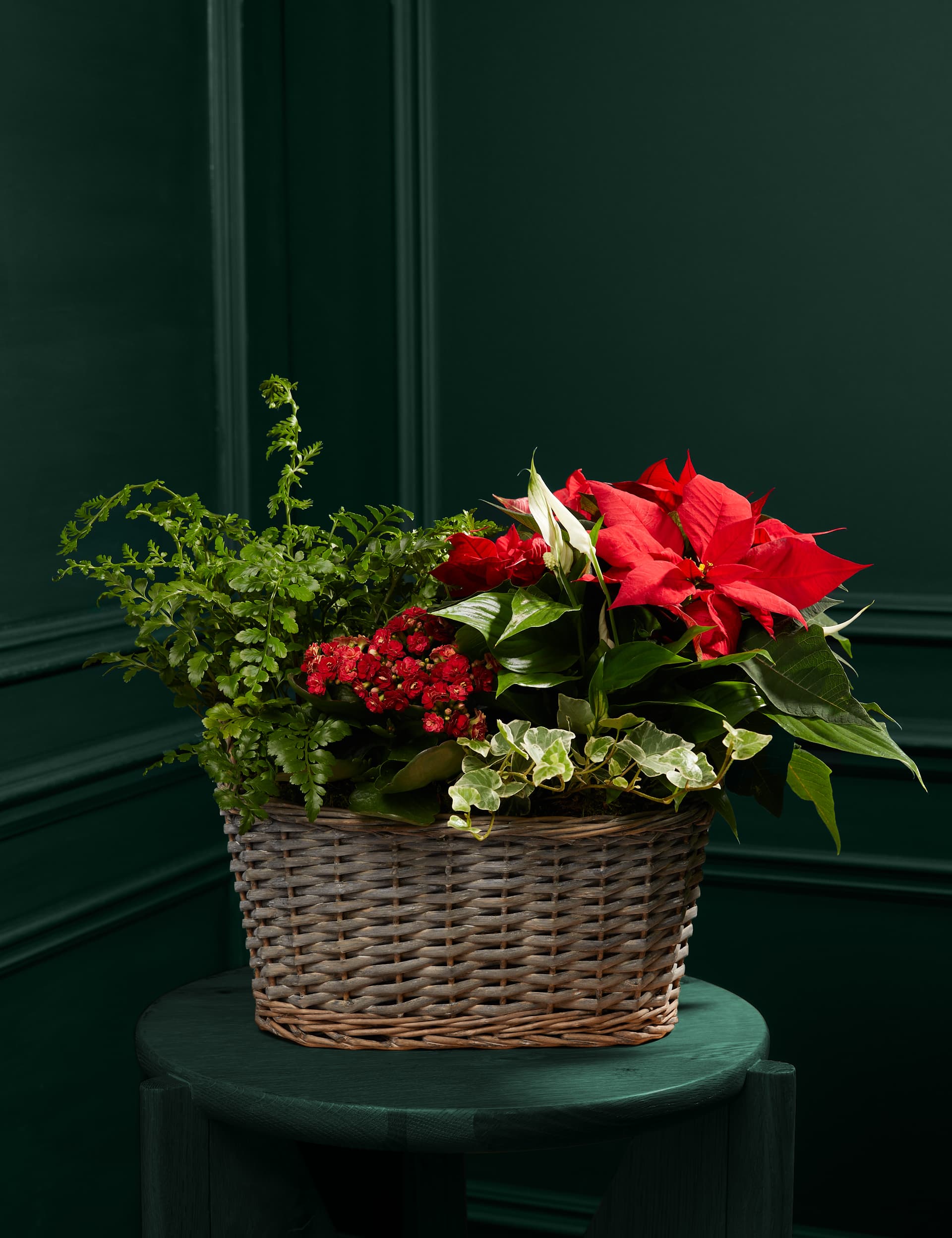 M&S Luxury Red Festive Planted Basket with Poinsettia image